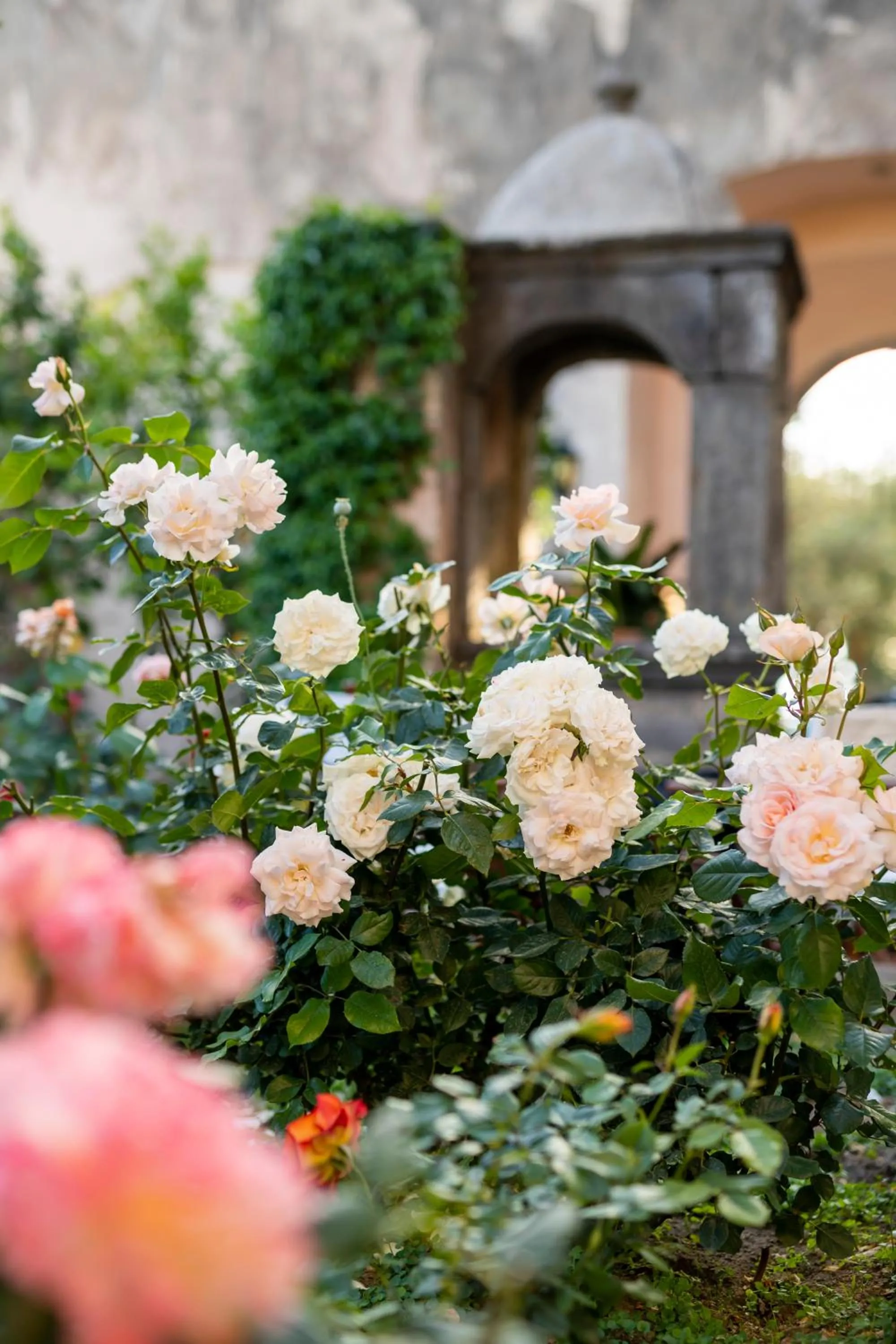 Garden in Villa il Turro