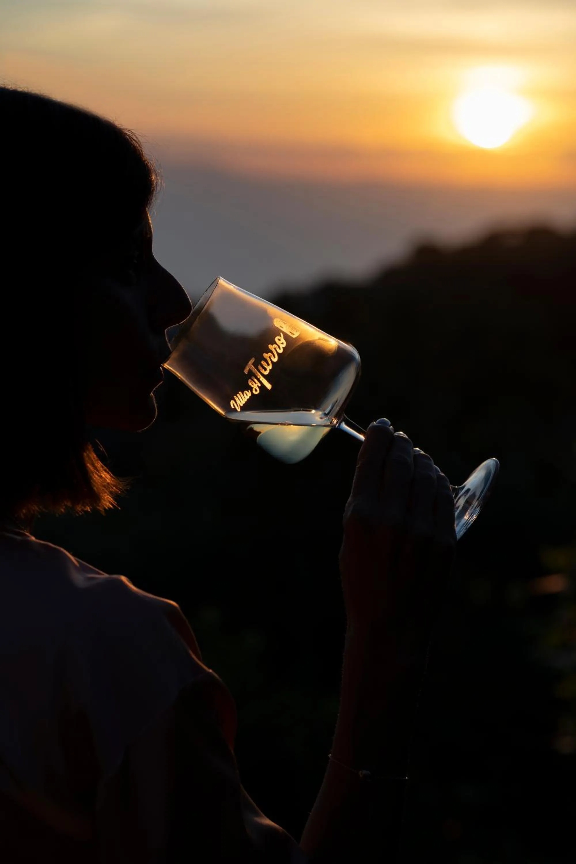 Garden view in Villa il Turro