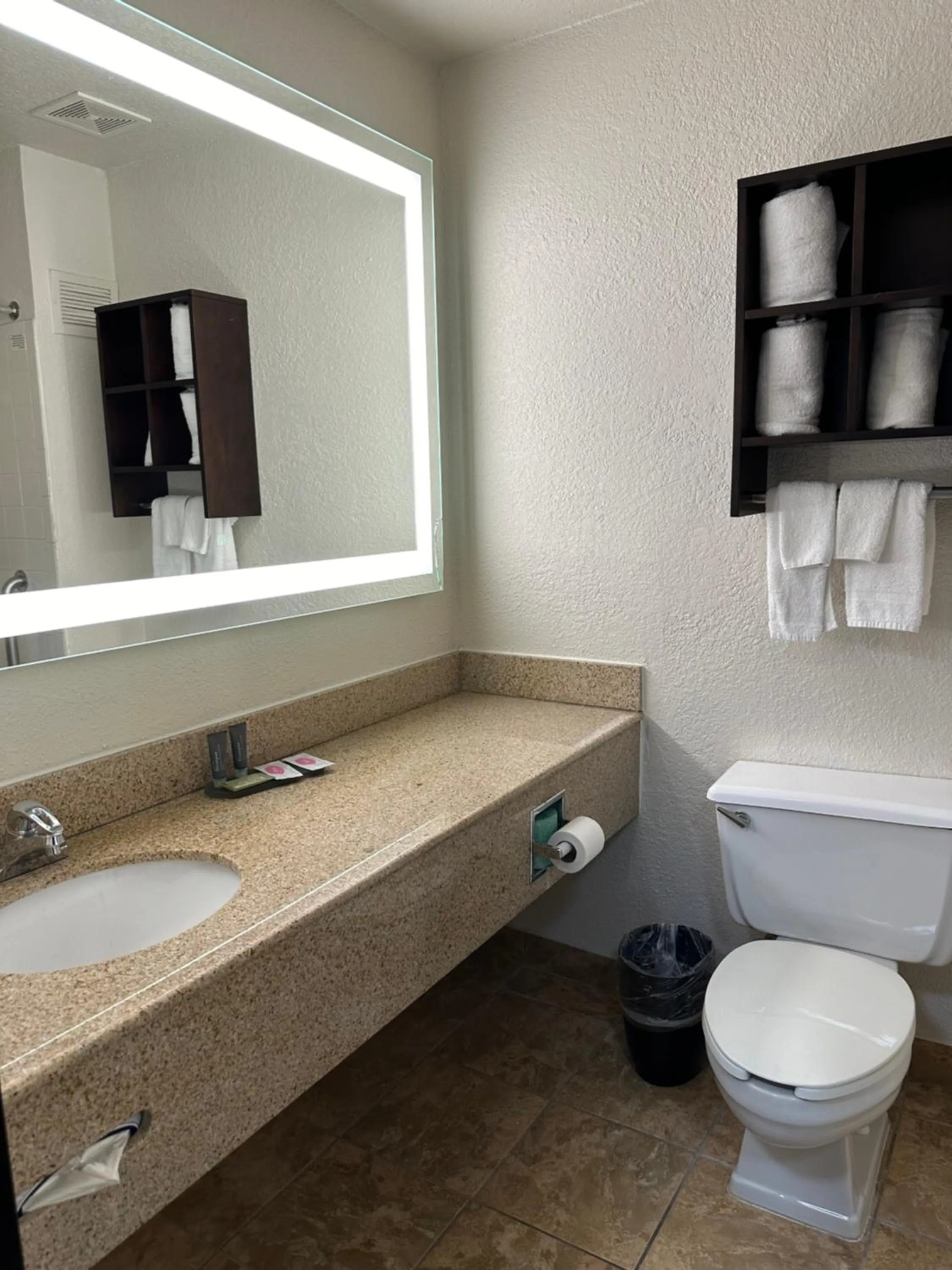 Toilet in Alexis Hotel & Banquets Dallas Park Central Galleria