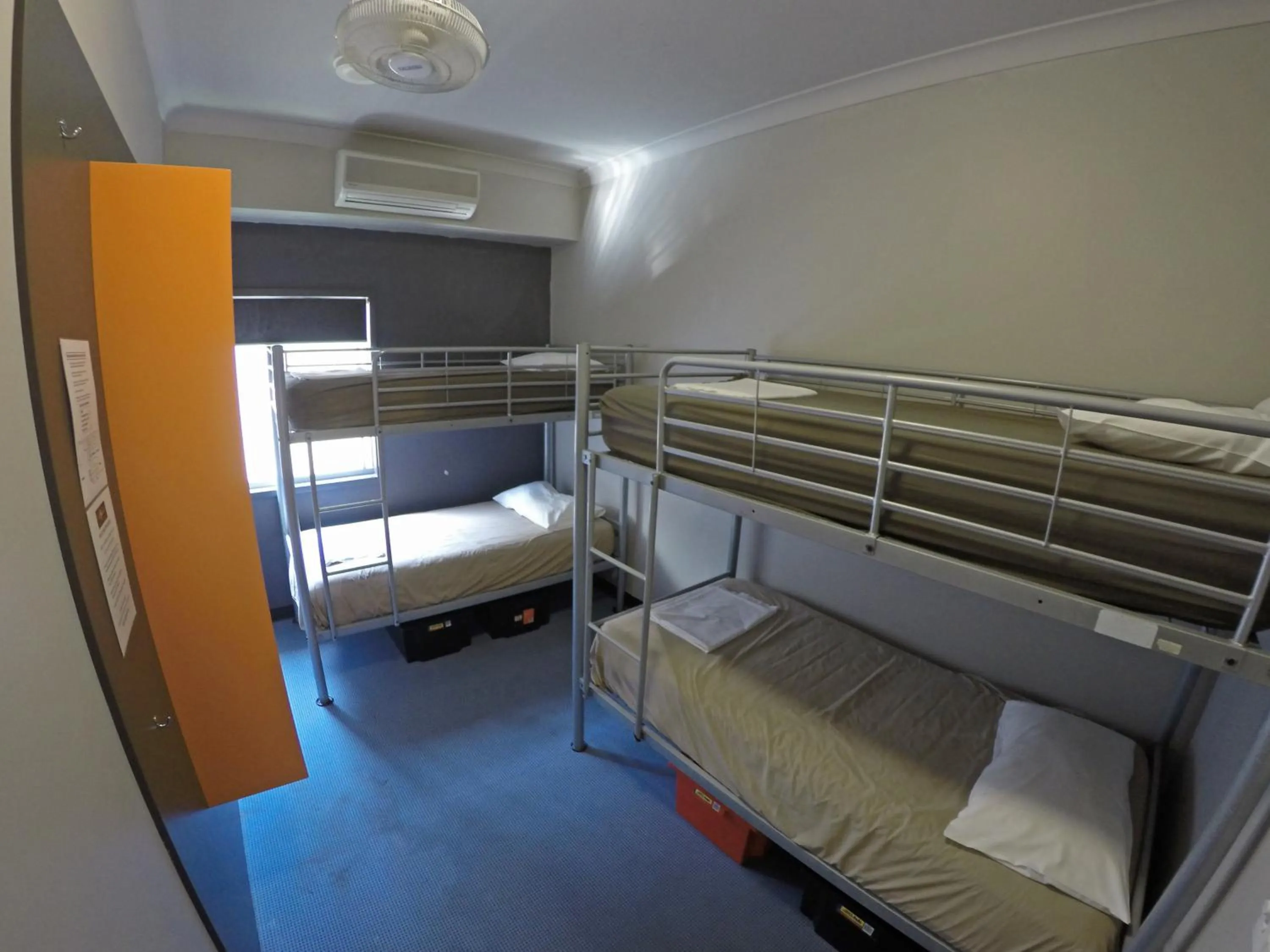 Photo of the whole room, Bed in Global Backpackers Port Douglas