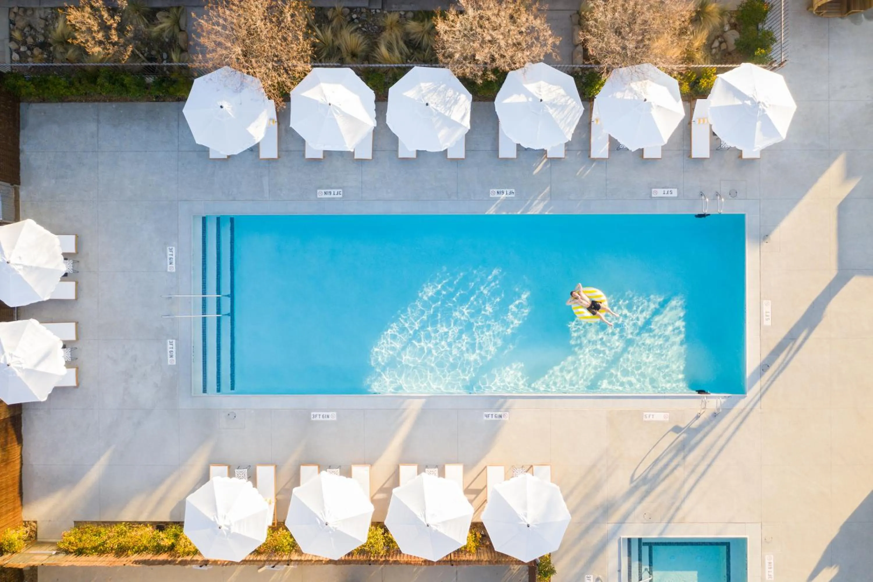 Day in Cuyama Buckhorn