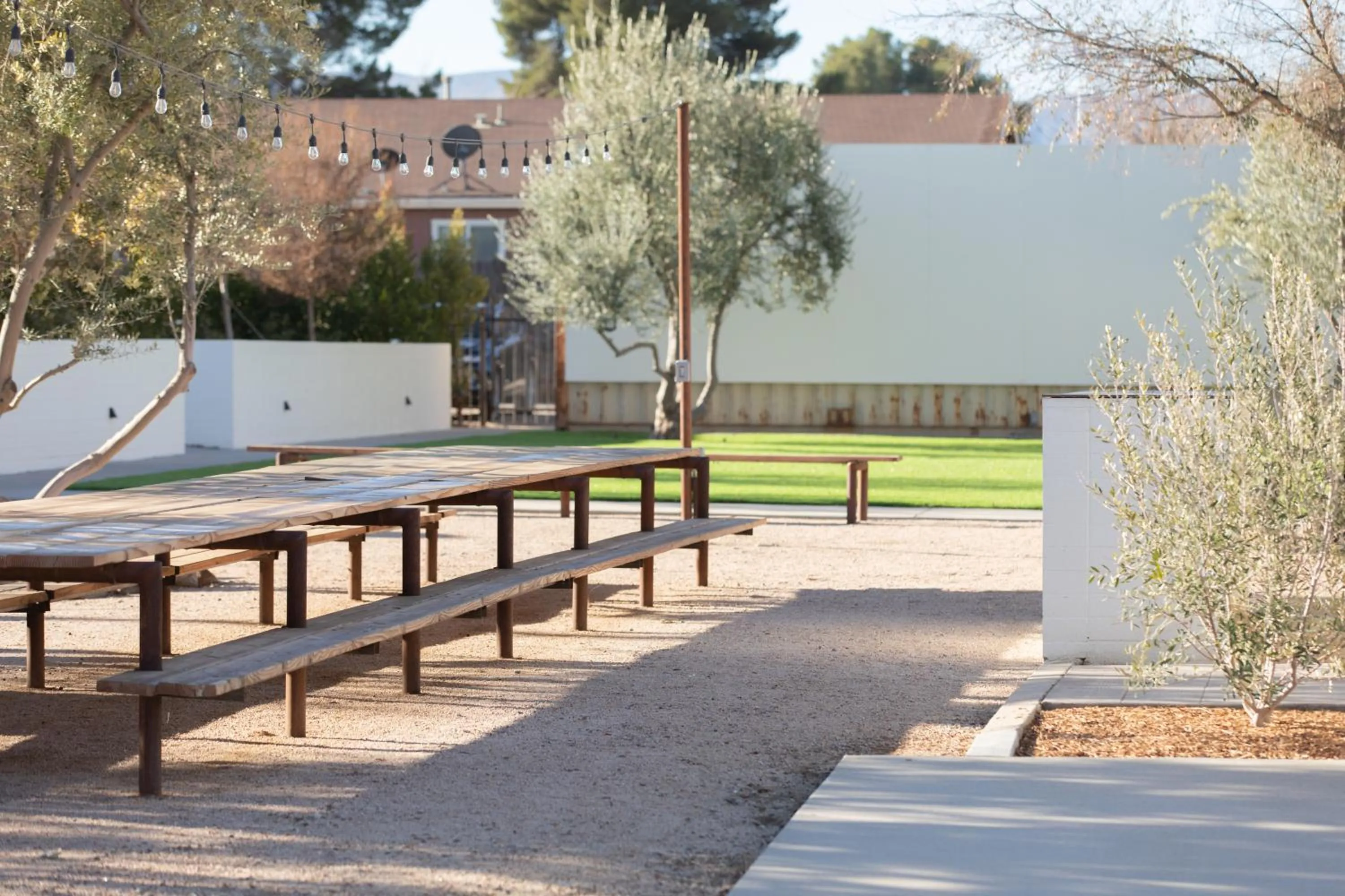 Spring in Cuyama Buckhorn
