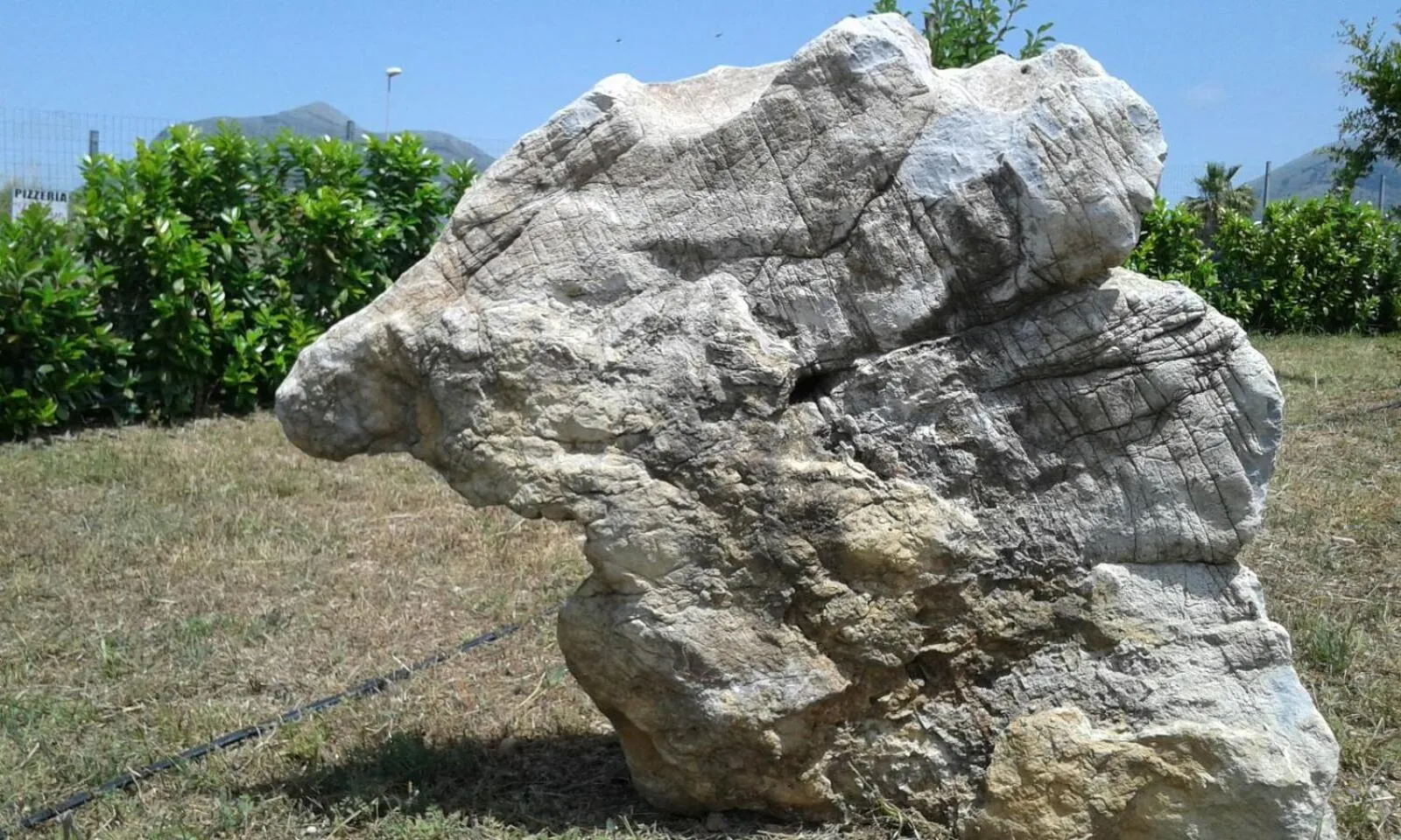 Garden in B&B Torre Nave