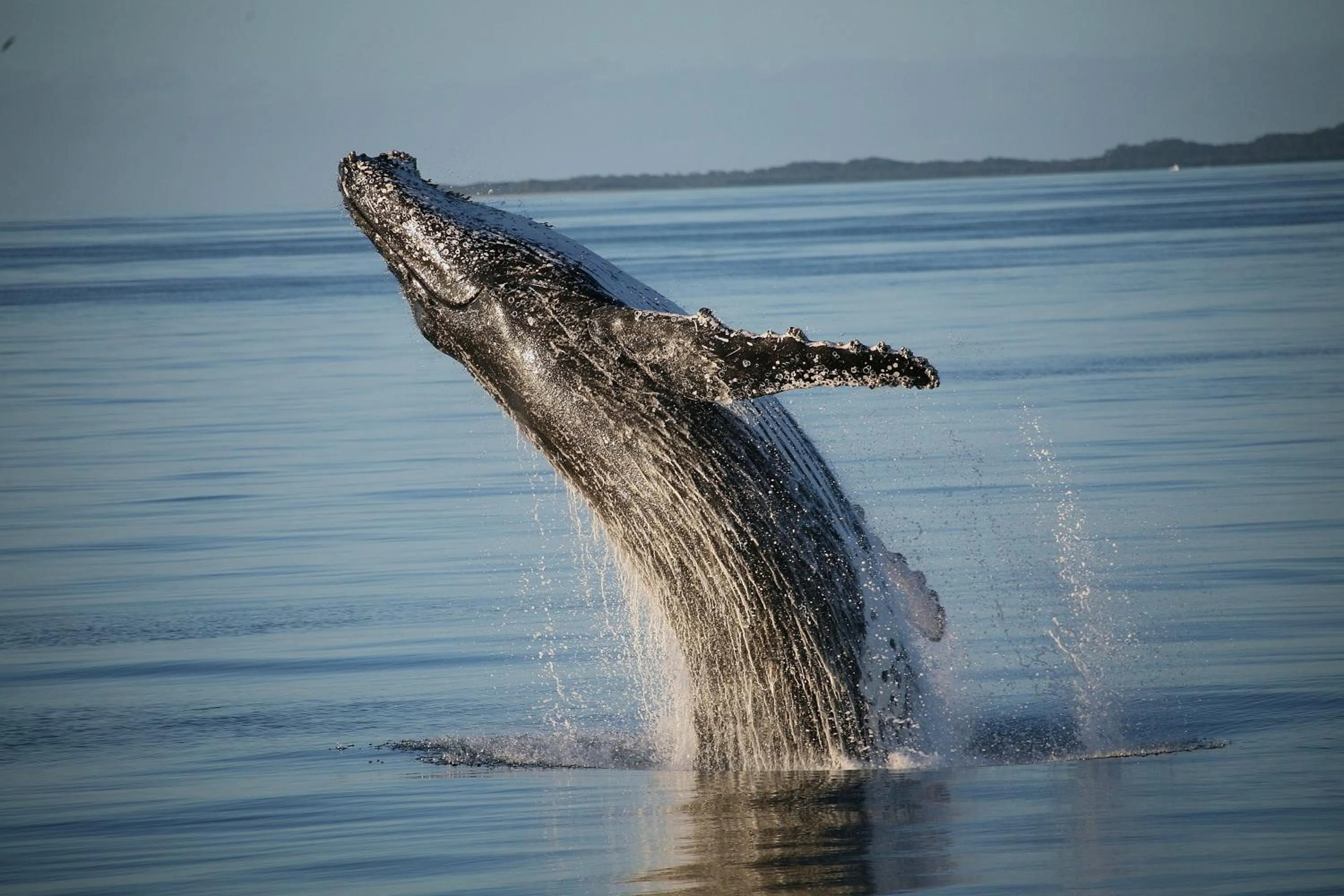 Entertainment in Sunseeker Motel
