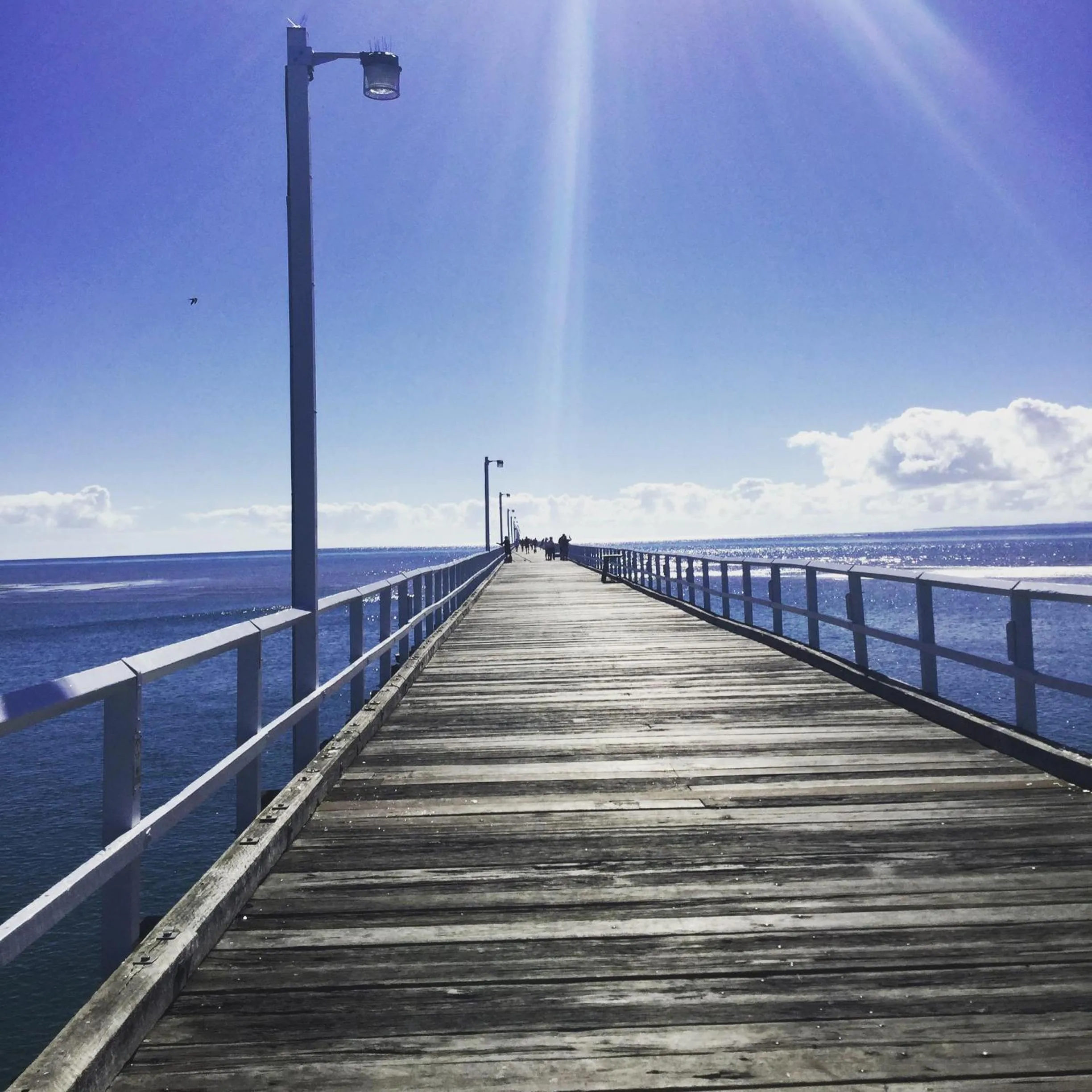 Natural landscape in Sunseeker Motel