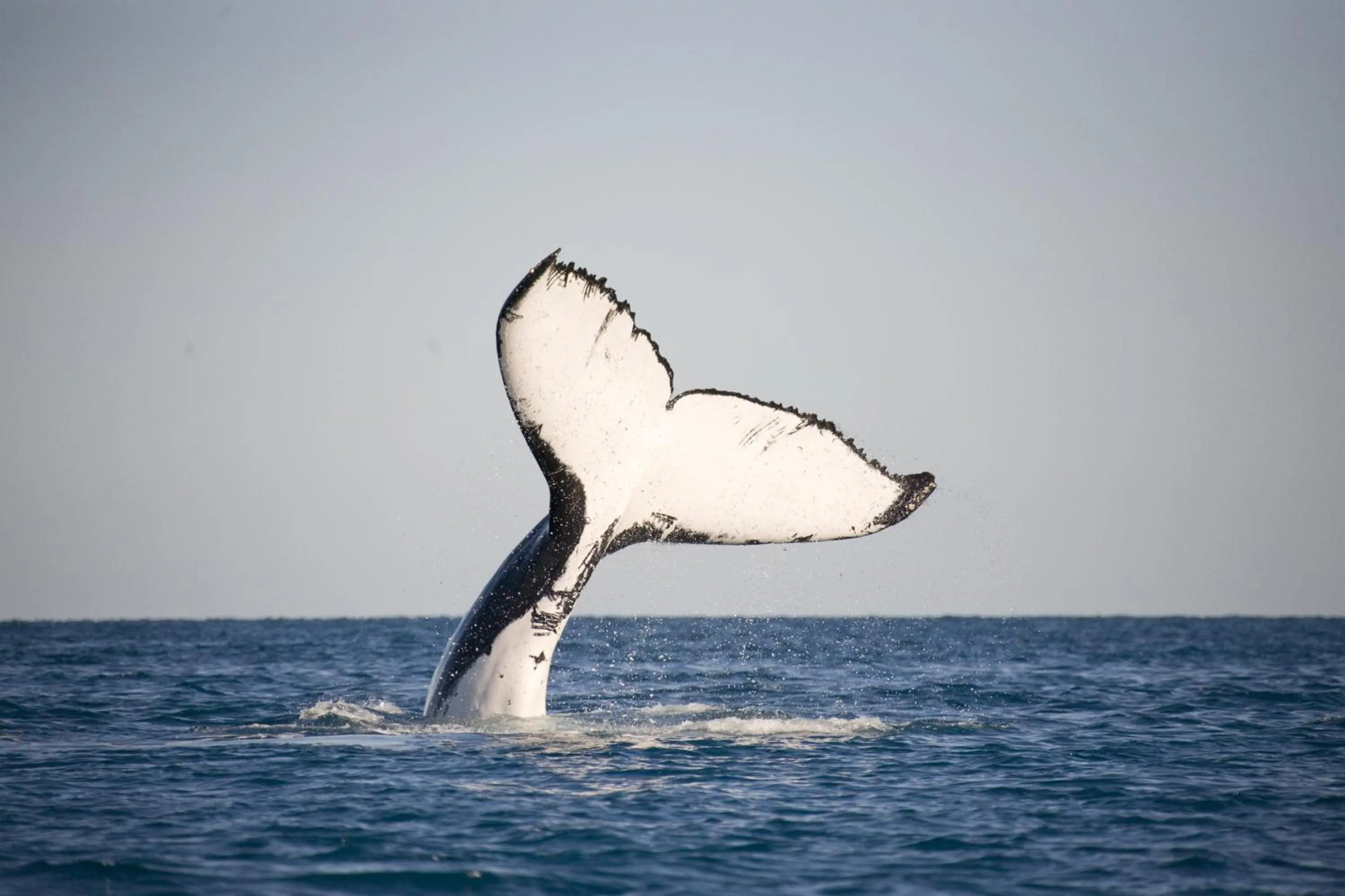 Activities in Sunseeker Motel