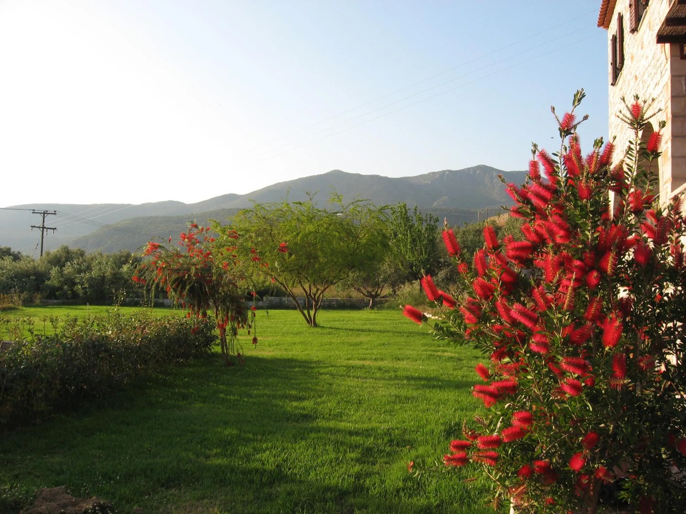 Garden in Polismata - Private Residences