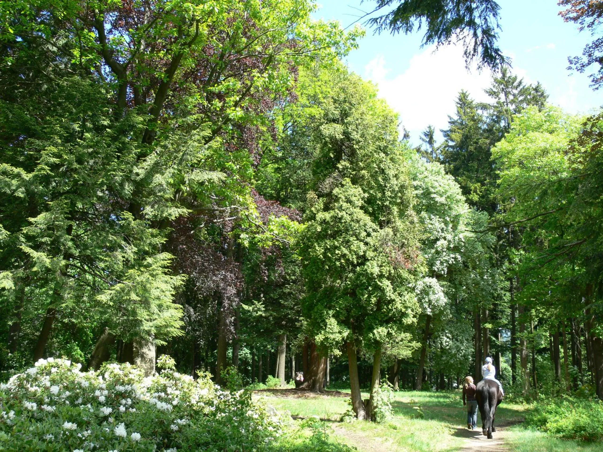 Garden in Parkhotel Smržovka
