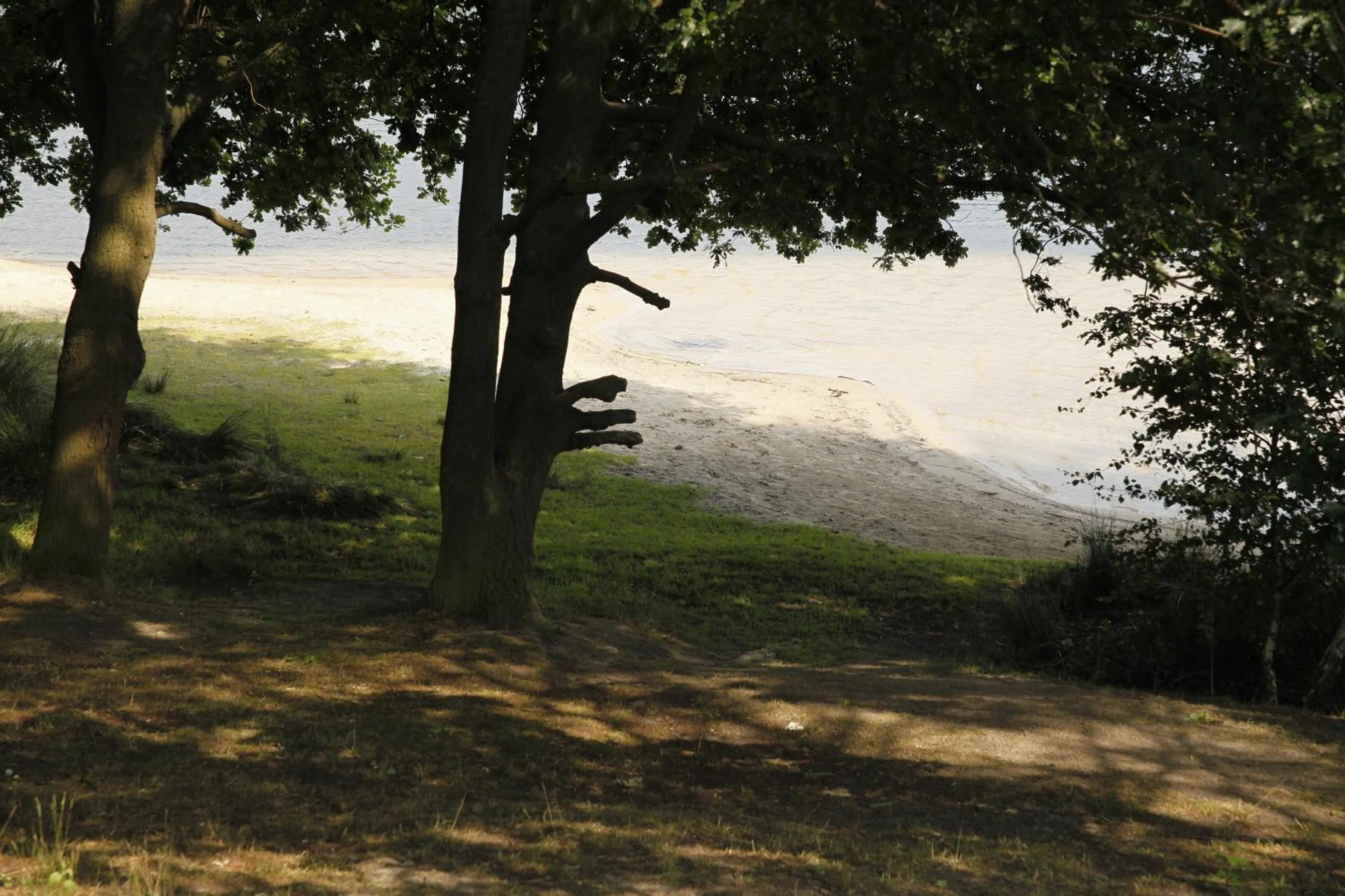 Other in Hotel Villa Will