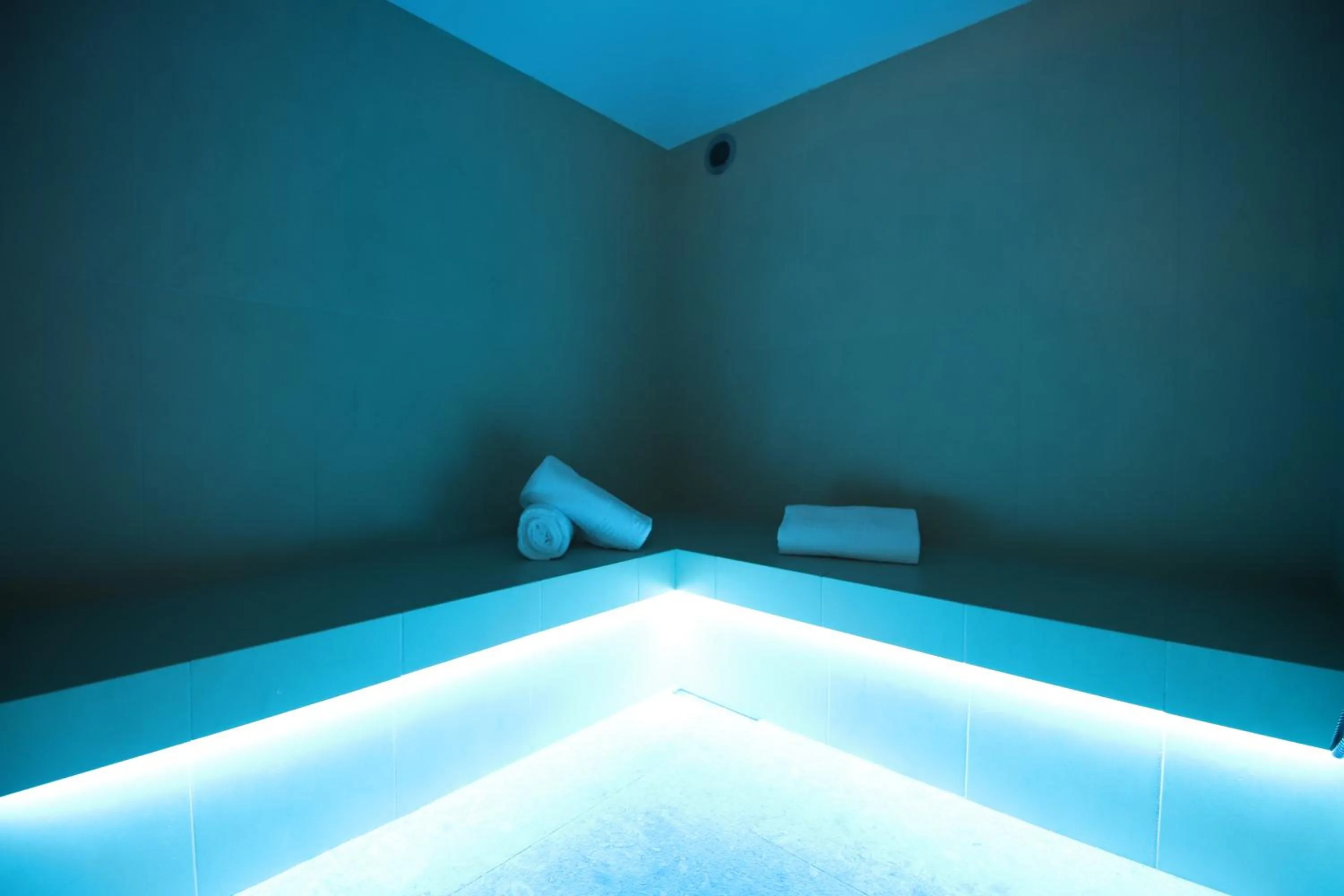 Steam room, Bed in Hotel Villa Imperina