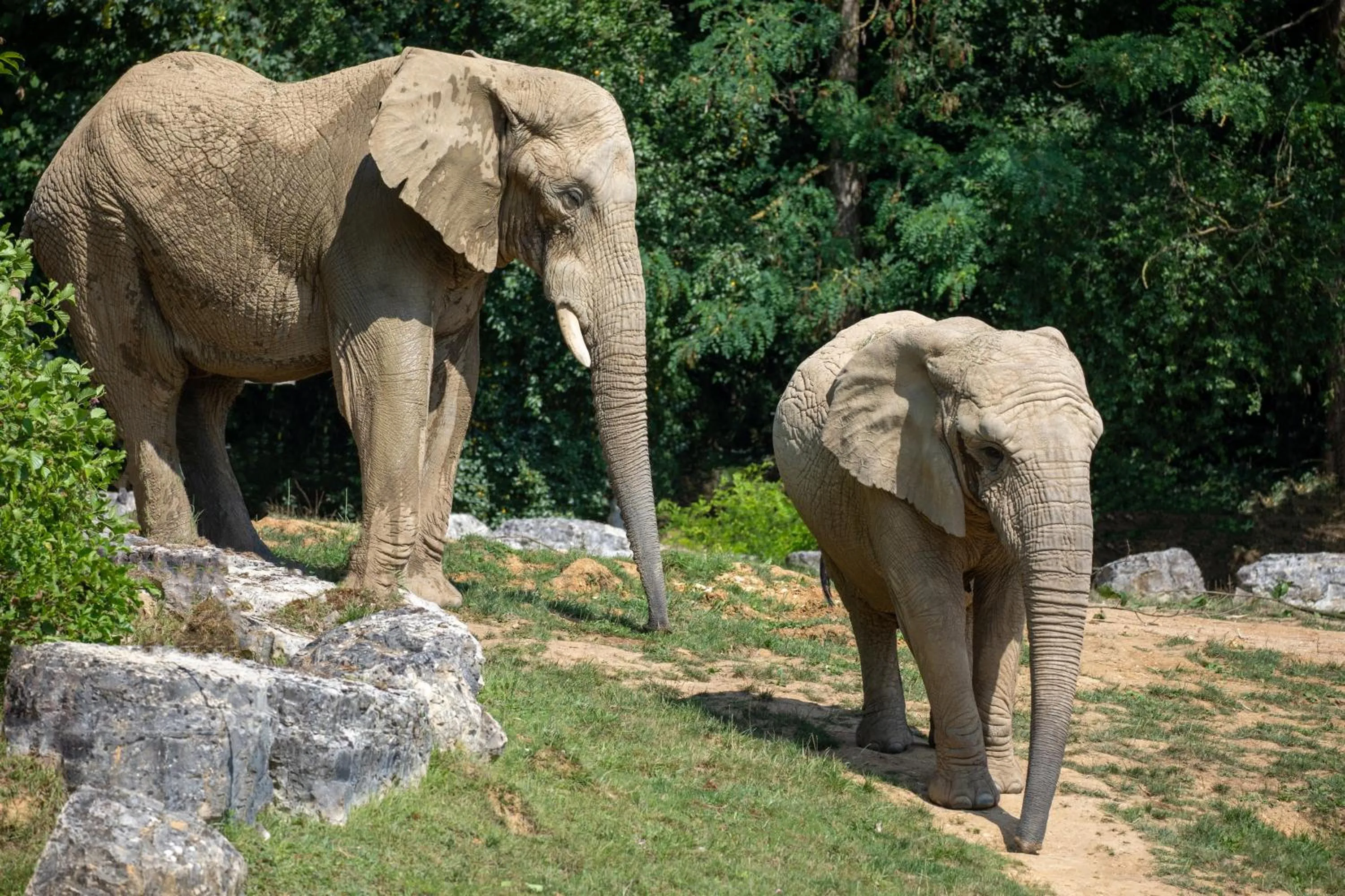 Grand Hôtel Saint-Aignan