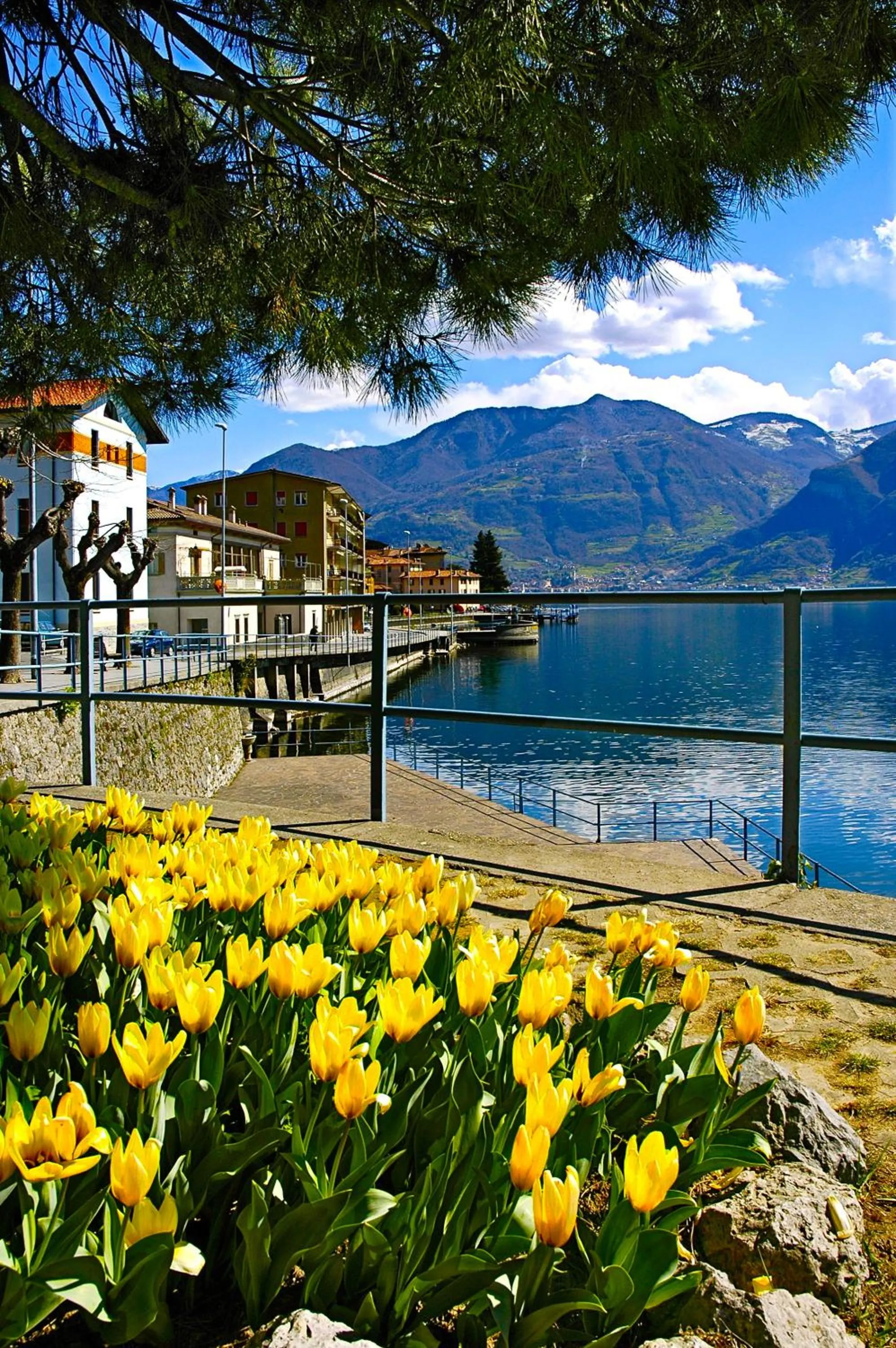Area and facilities in Albergo Diffuso Vulcano Village