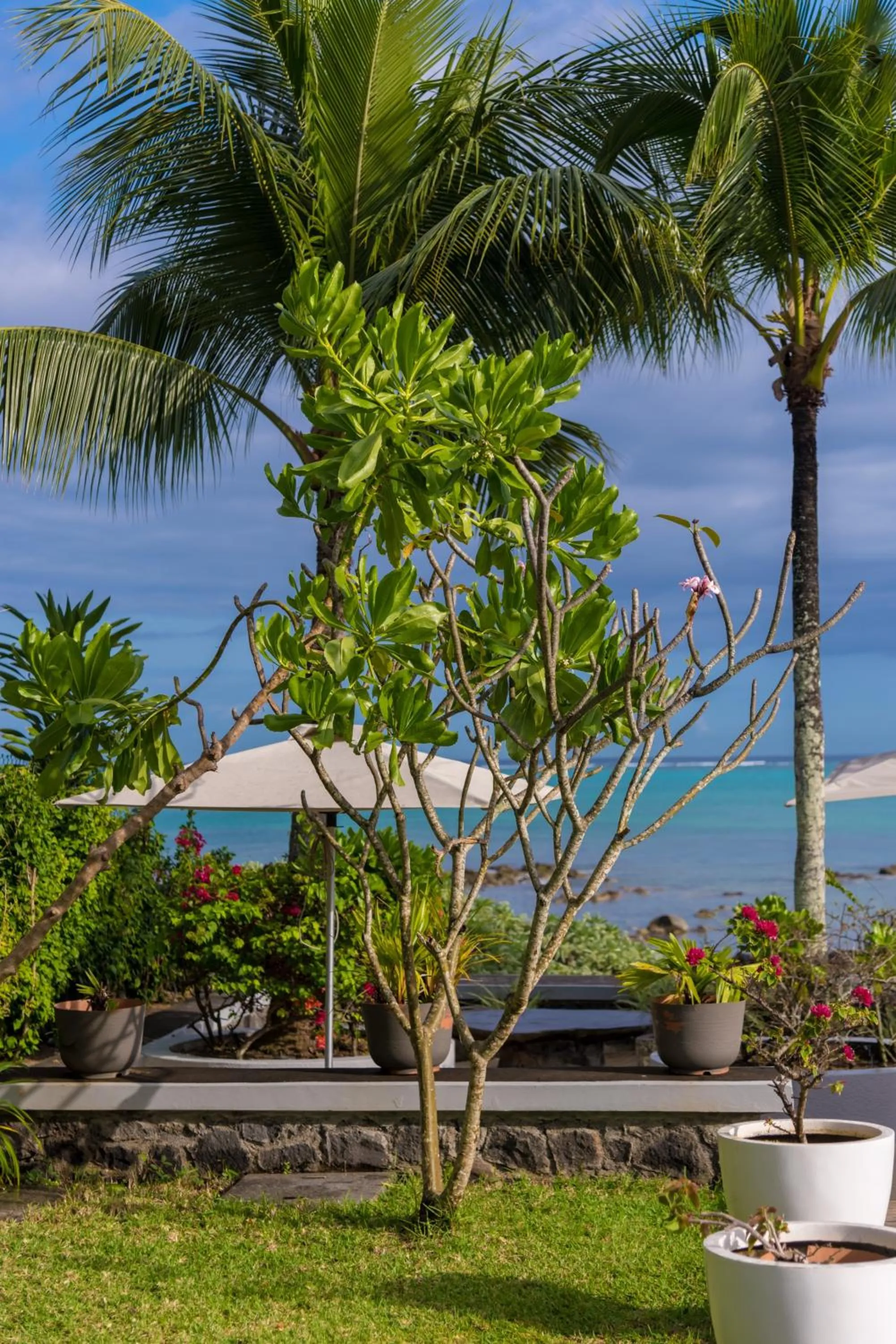 Garden in Mon Choisy Beach R.