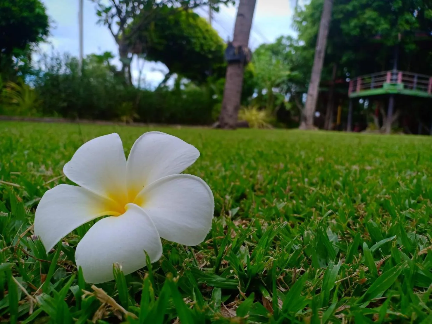 Garden in Magmai Hotel and Resort