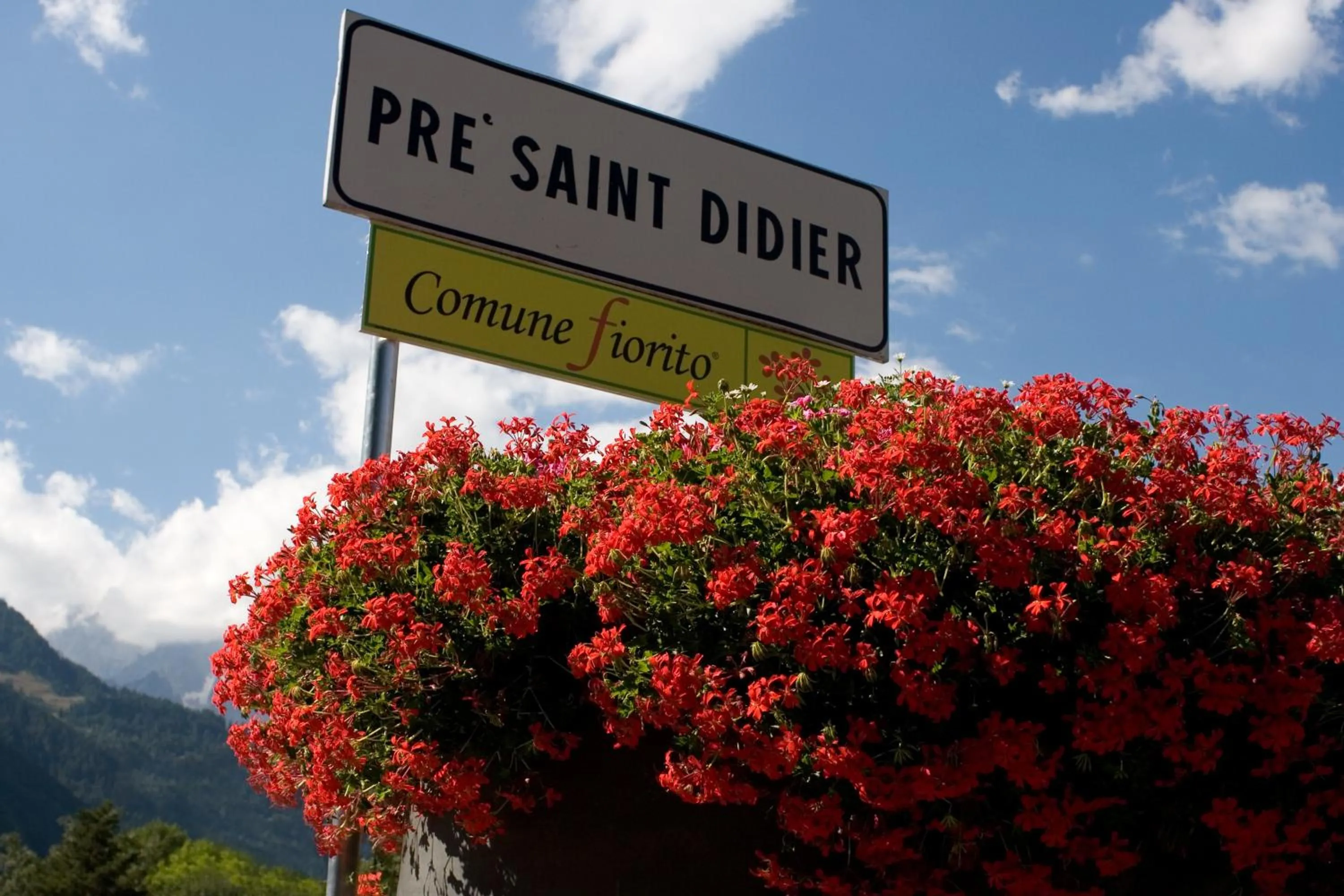 Area and facilities in Hotel Edelweiss