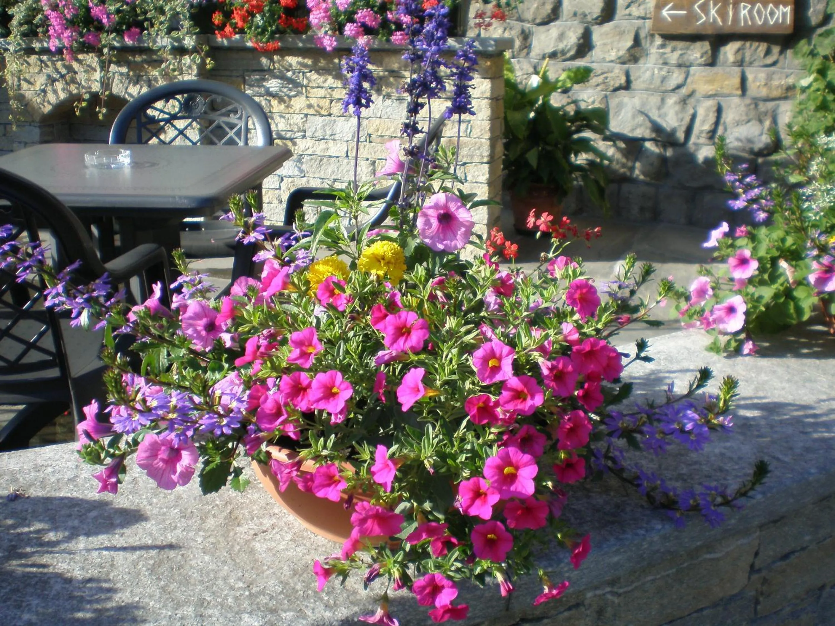 Patio in Hotel Edelweiss