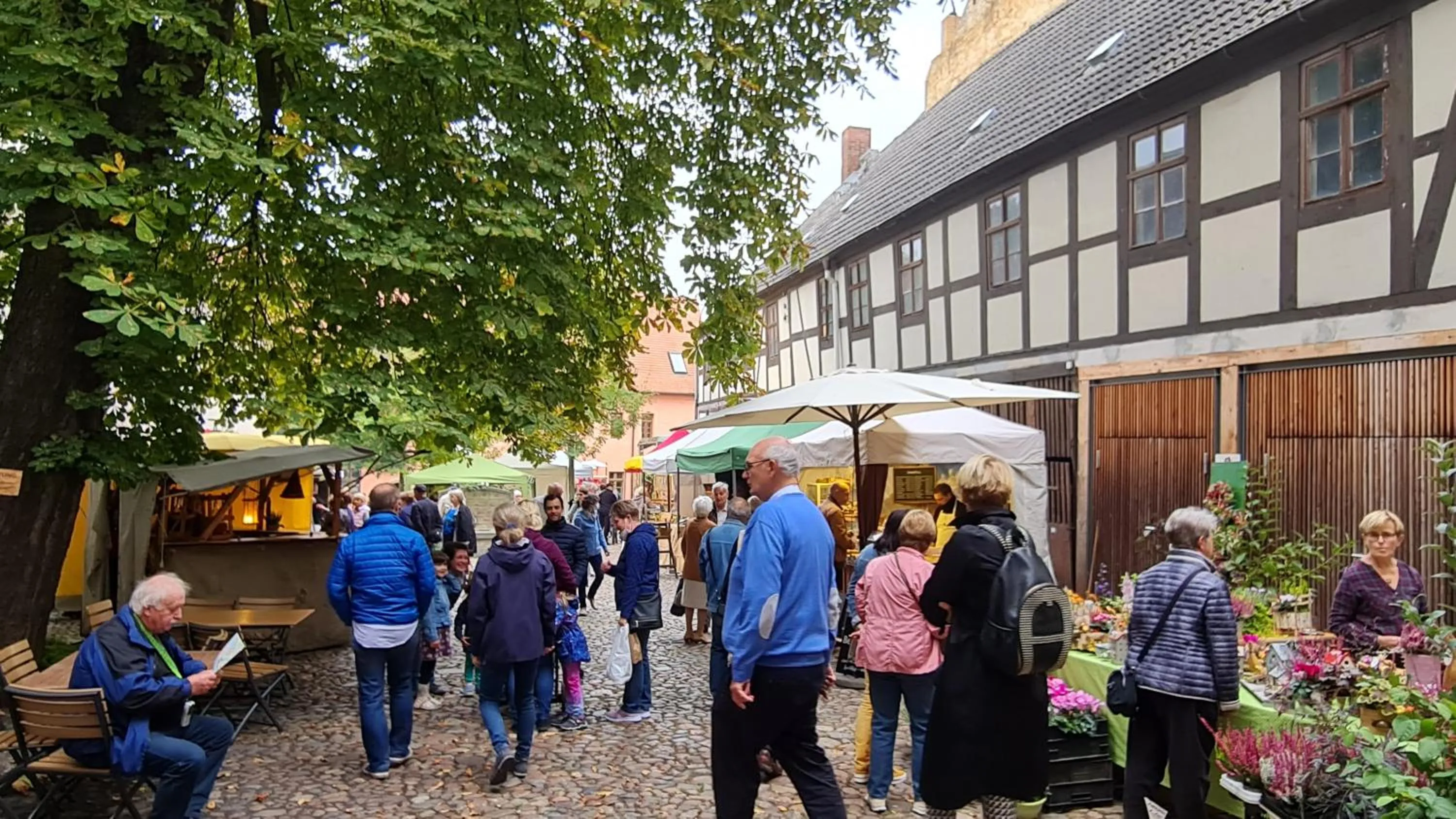 Property building in Hotel Cranach-Herberge City Centre