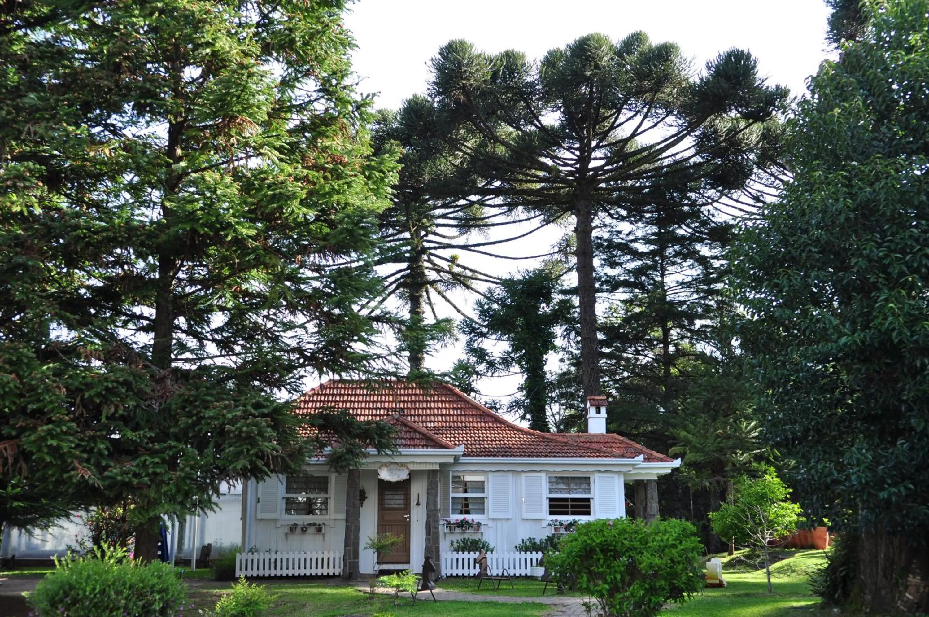 Patio in Hotel Ritta Höppner