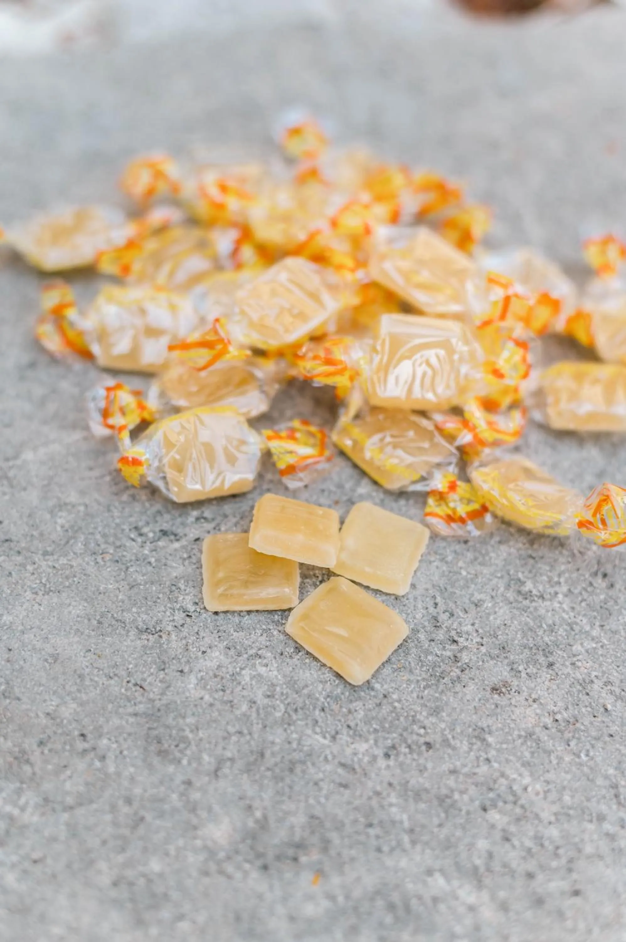 Activities in La Maison Forte