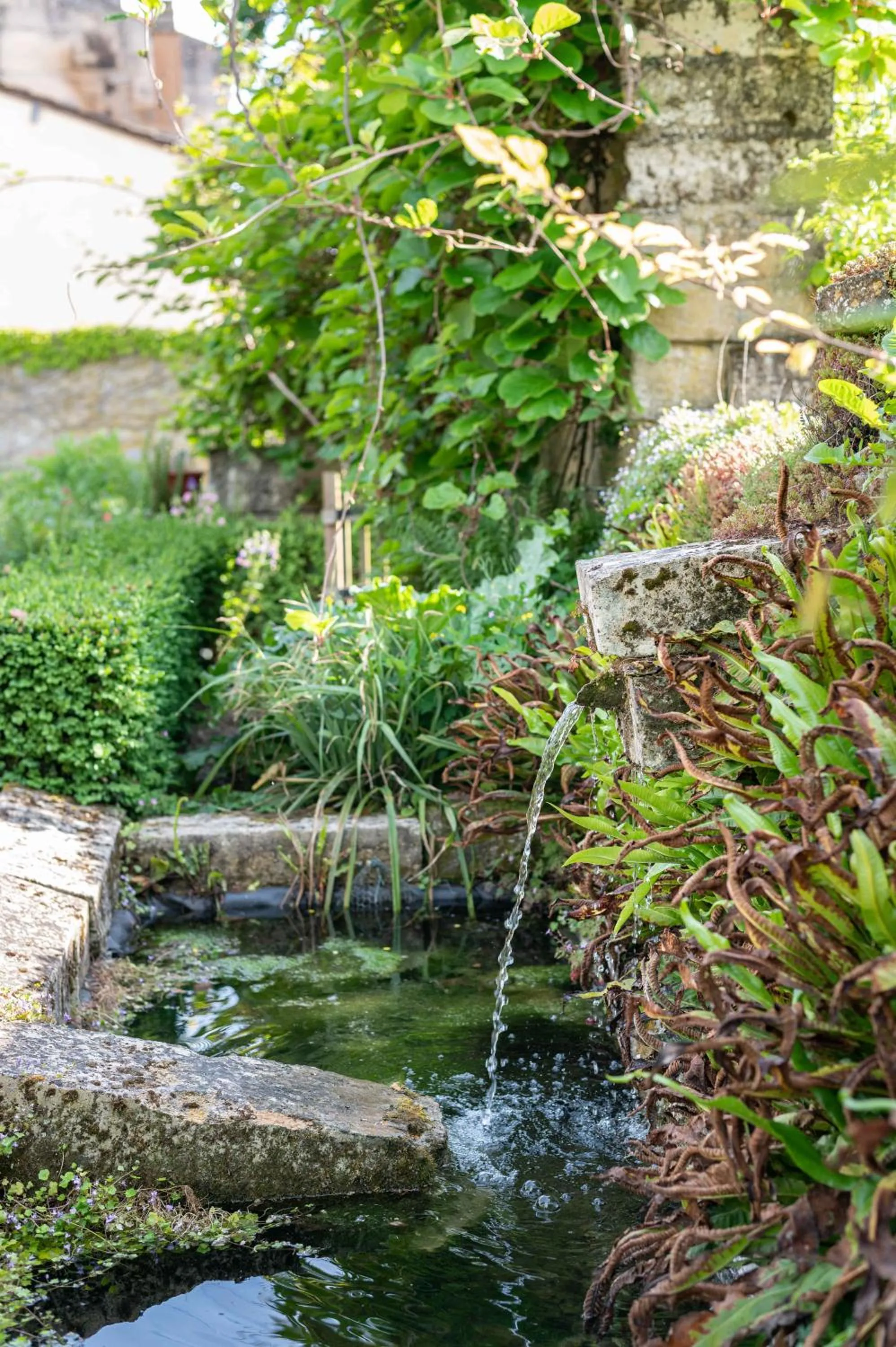 Natural landscape in La Maison Forte