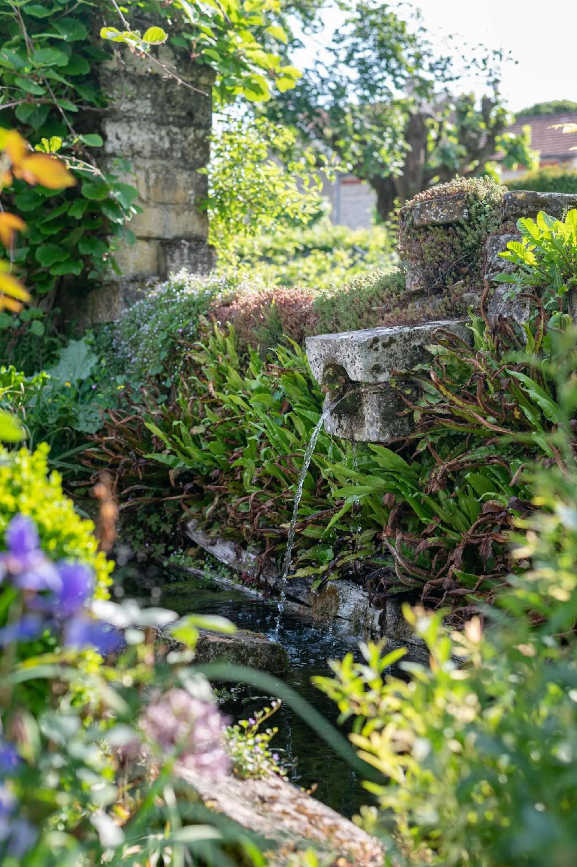 Natural landscape in La Maison Forte