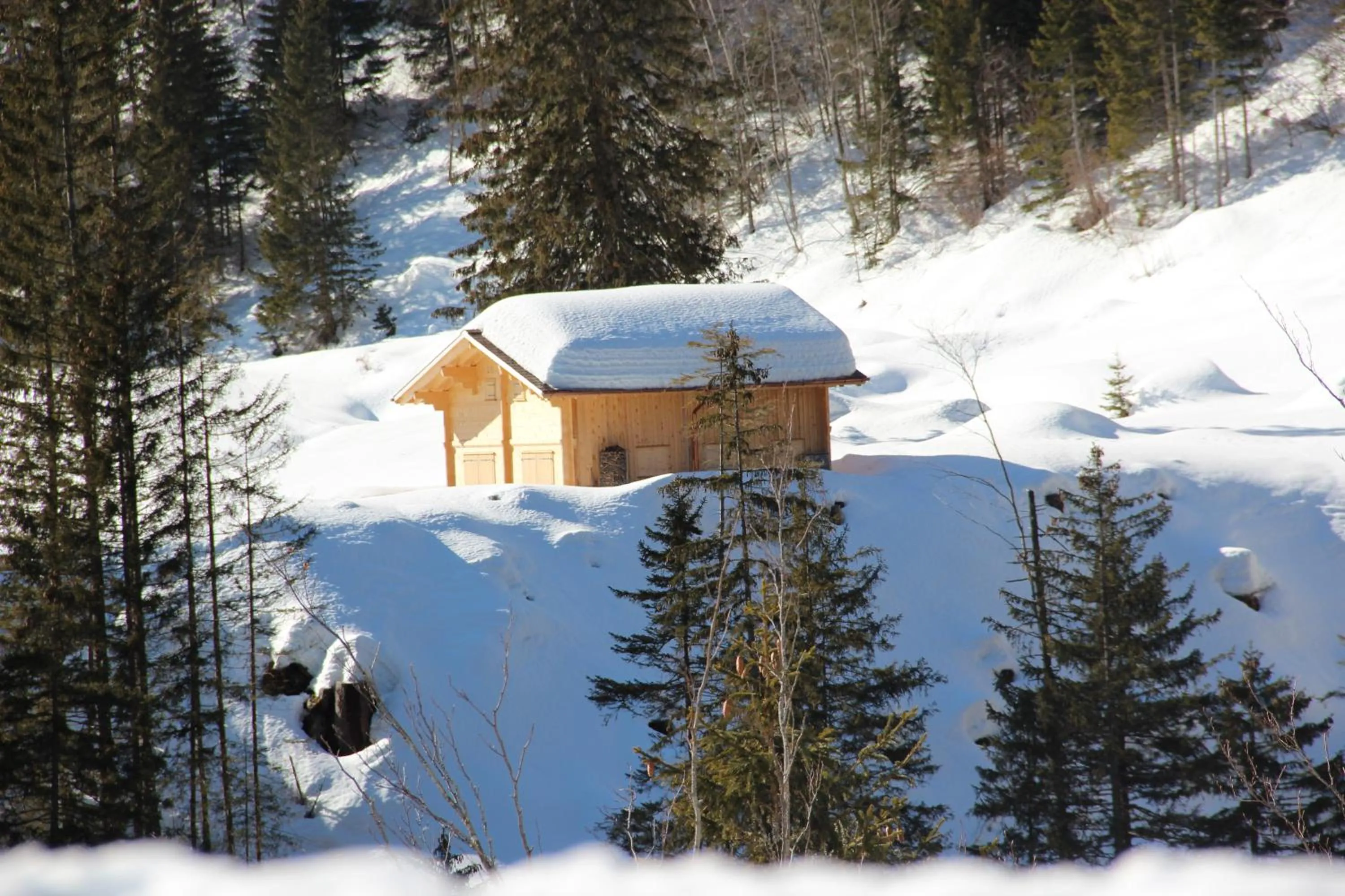 Area and facilities in Hotel-Restaurant Alpina