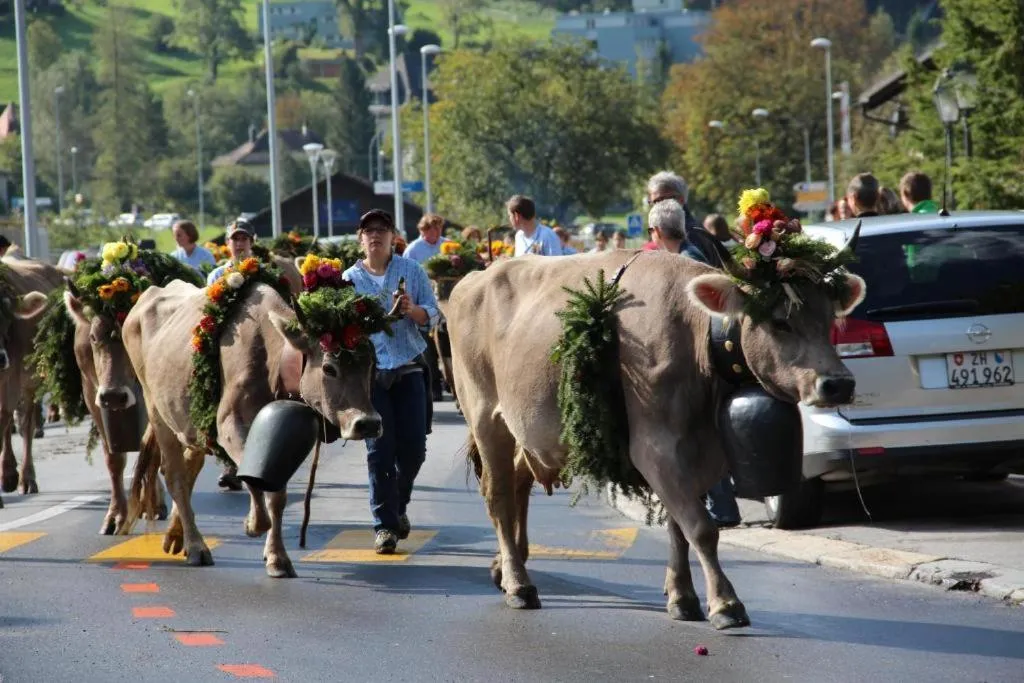 People in Hotel-Restaurant Alpina