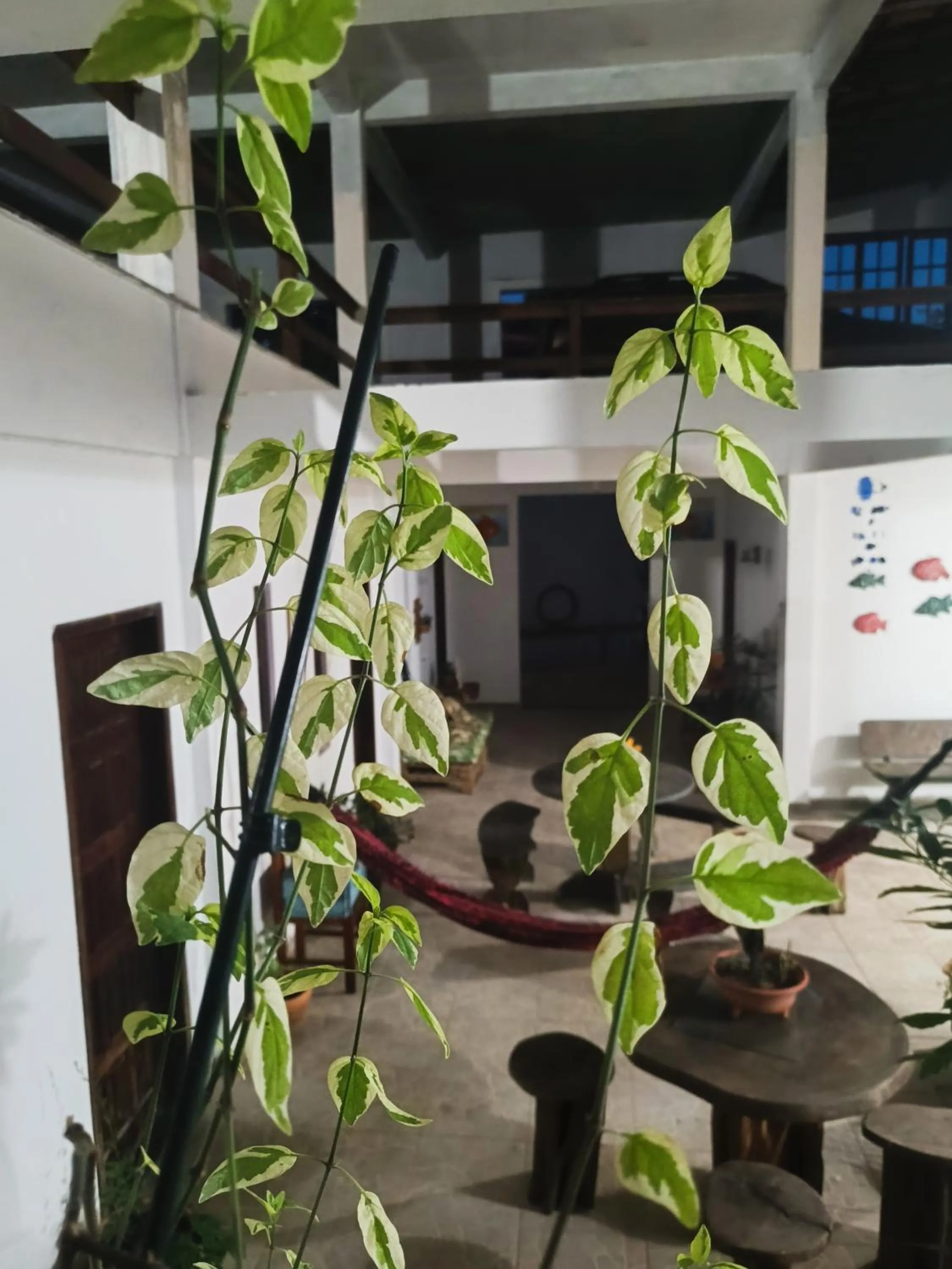 Pousada Betel - Moradas Familia Betel