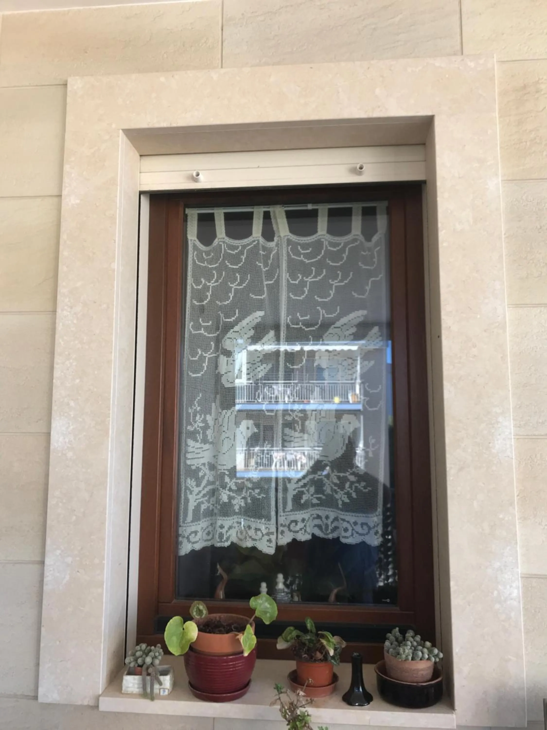 Property building in Lo scoglio