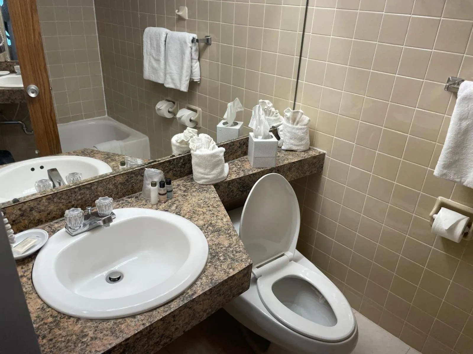 Bathroom in Eastlake Suites Hotel & Conference Center By OYO Urbana
