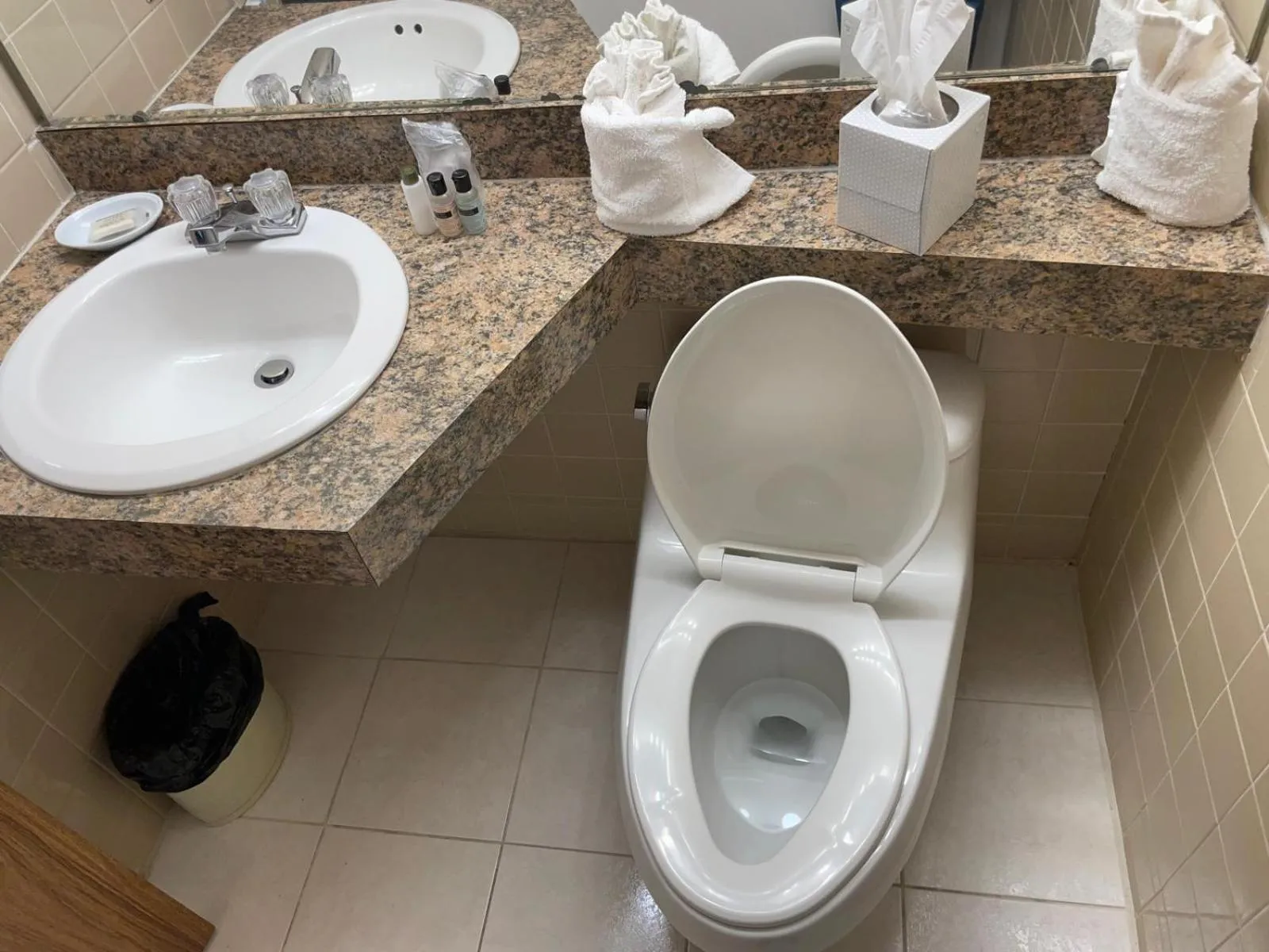 Bathroom in Eastlake Suites Hotel & Conference Center By OYO Urbana