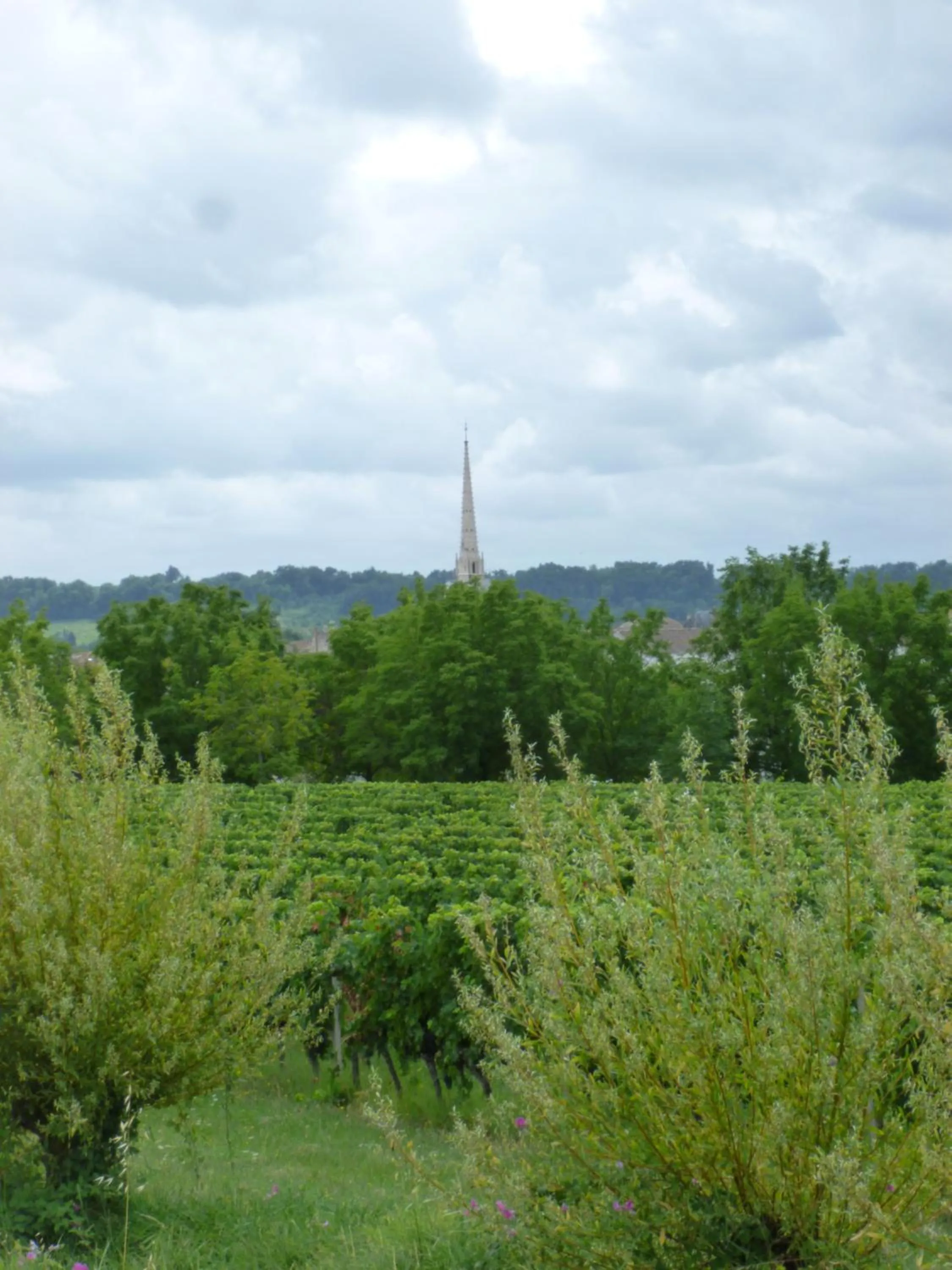 Nearby landmark in Le Cerisier