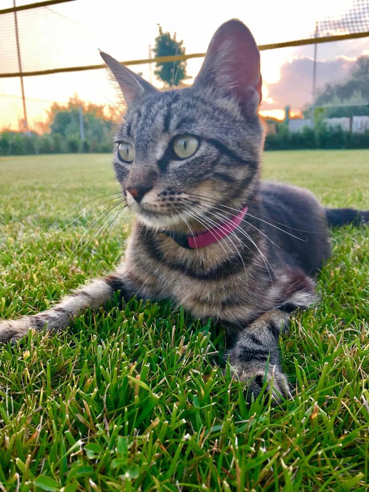 Property building in La Luna nel Parco