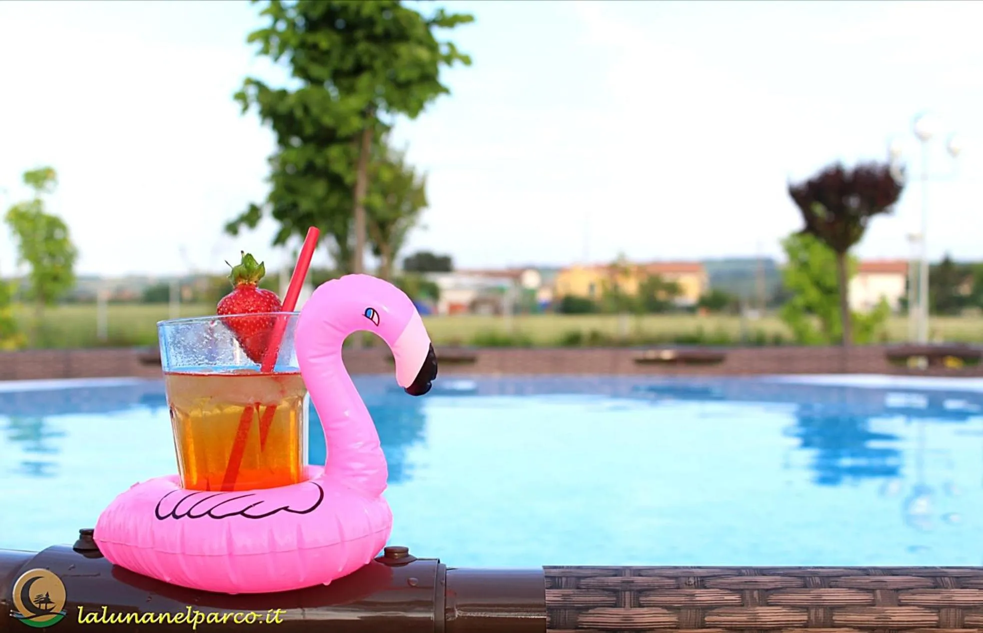 View (from property/room) in La Luna nel Parco