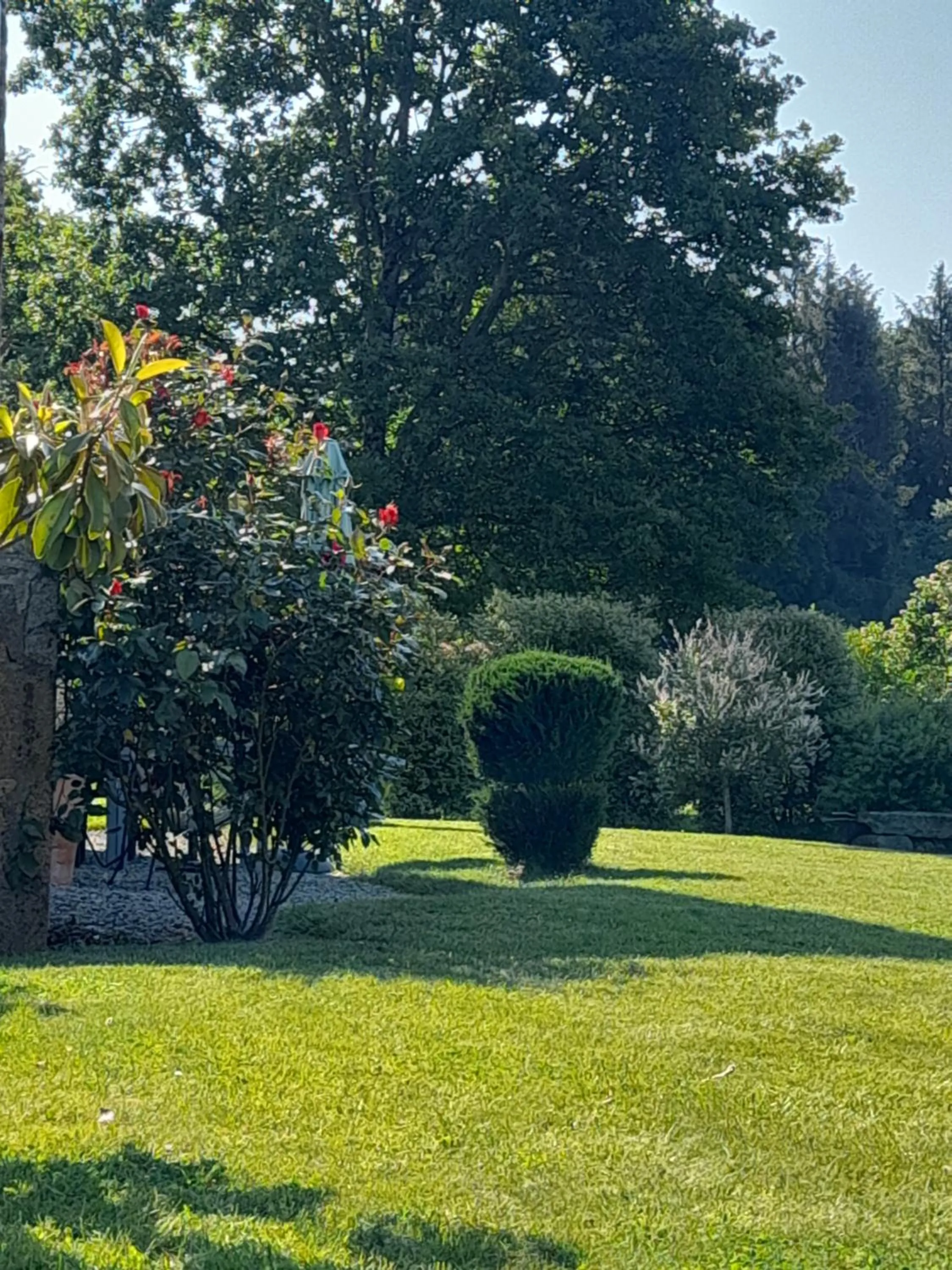 Garden in La Sellerie