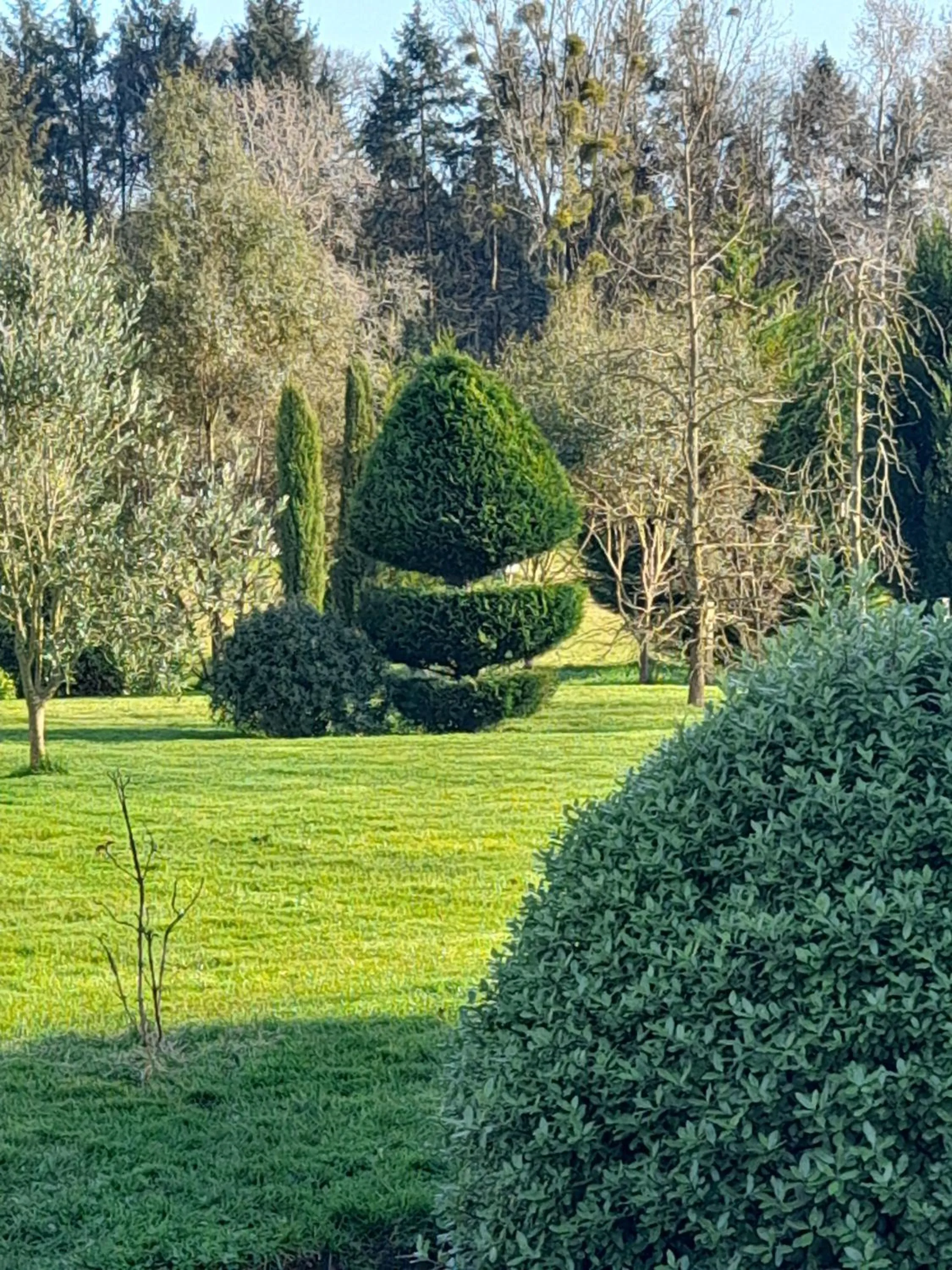 Garden in La Sellerie