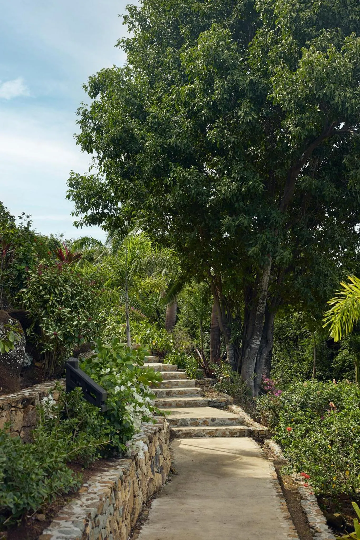 Garden in Hermitage Bay - All Inclusive