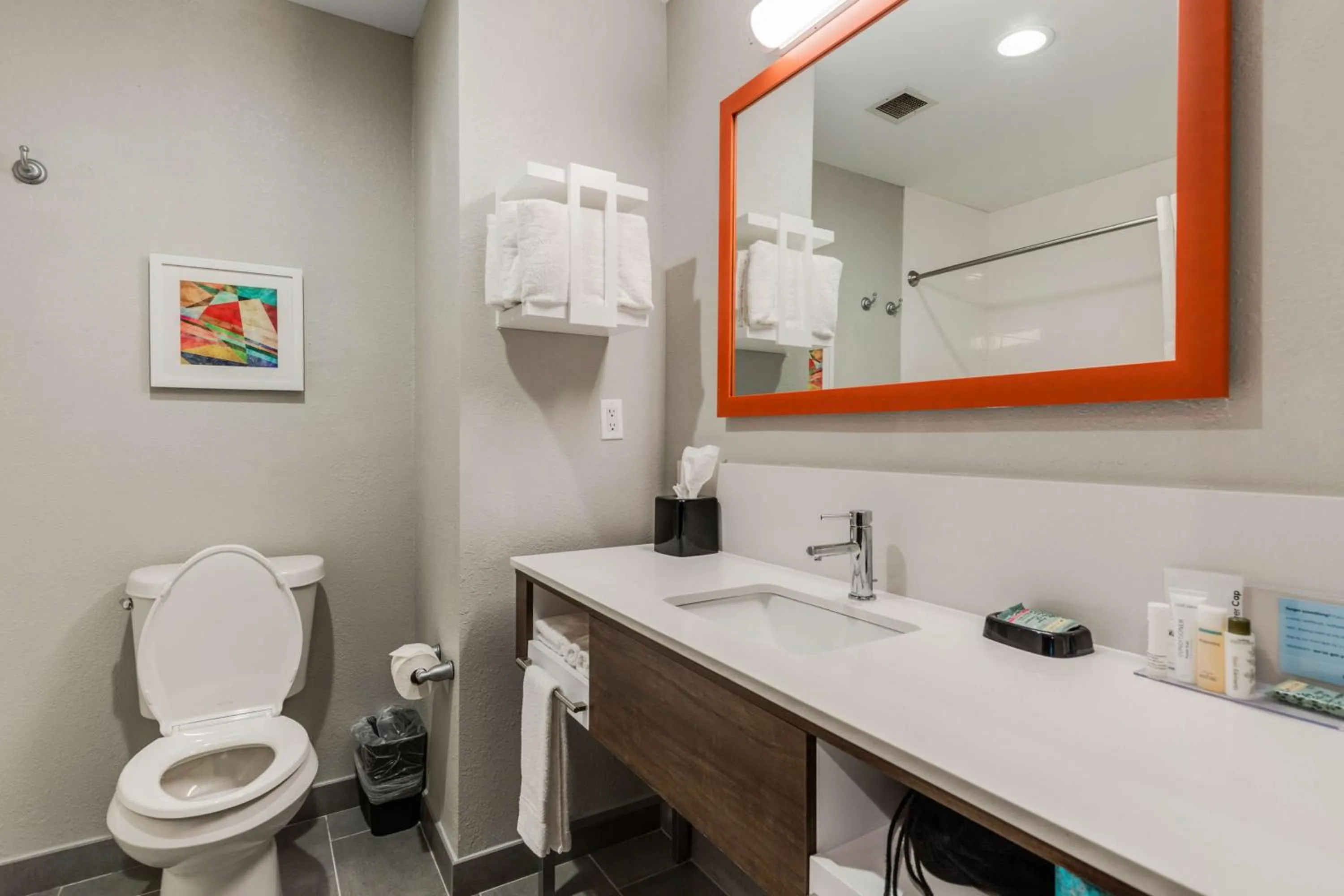 Bathroom in Hampton Inn & Suites Selma-San Antonio/Randolph AFB