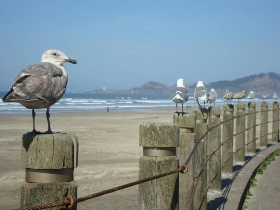 Other in Summer Wind Budget Motel