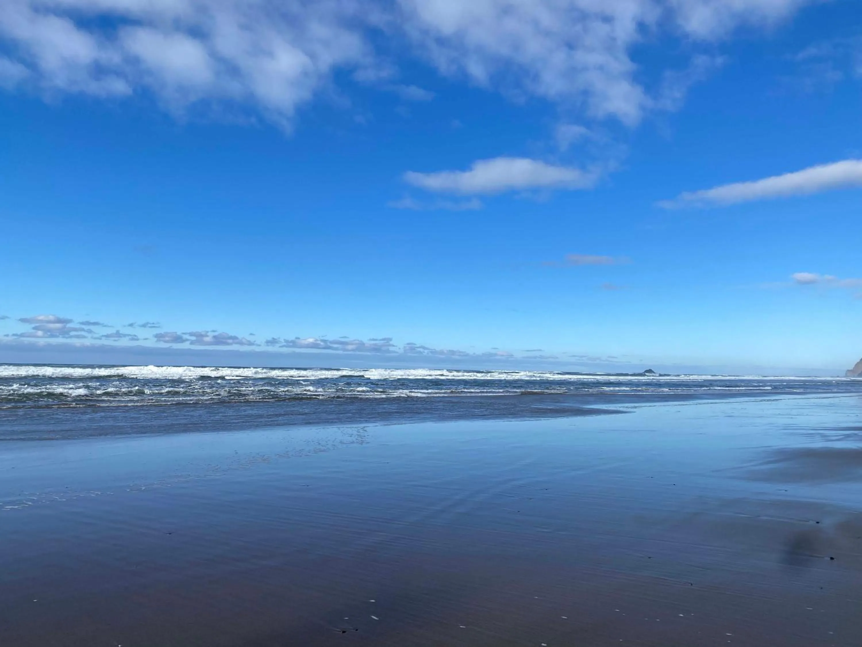 View (from property/room) in Seagull Beachfront Inn