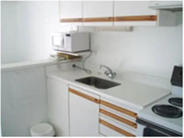 Kitchen or kitchenette in 88 Wallace Court Motel - Free Parking