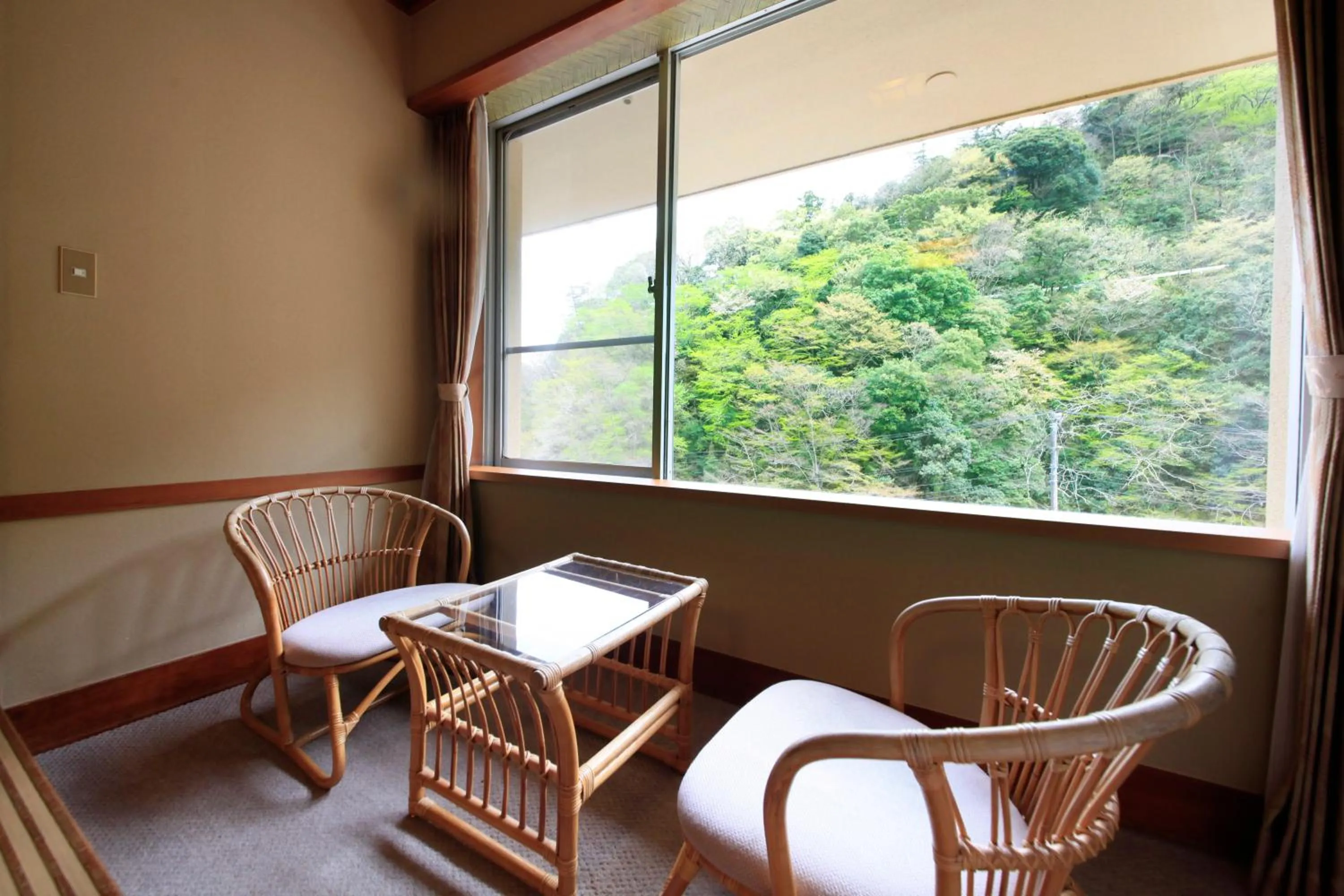 View (from property/room) in Hotel Okada