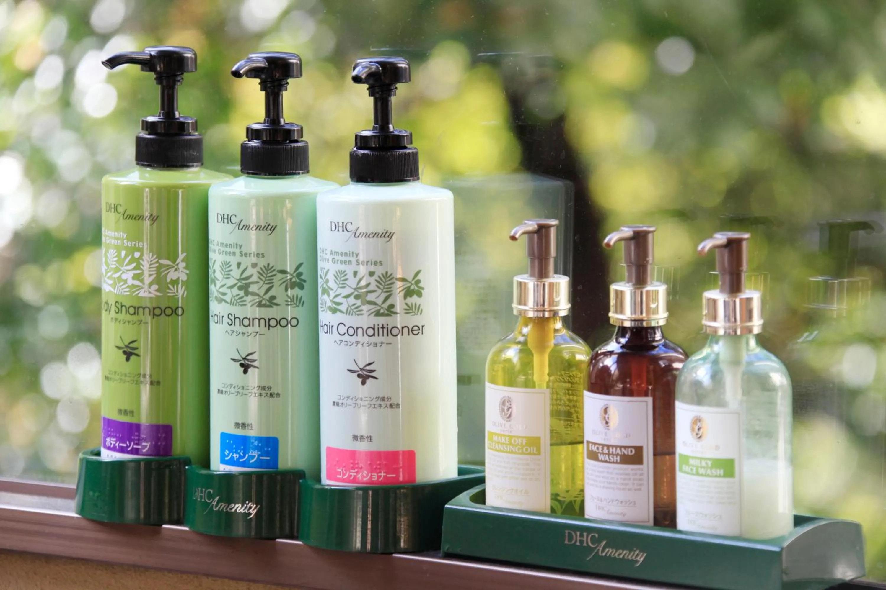 Public Bath in Hotel Okada