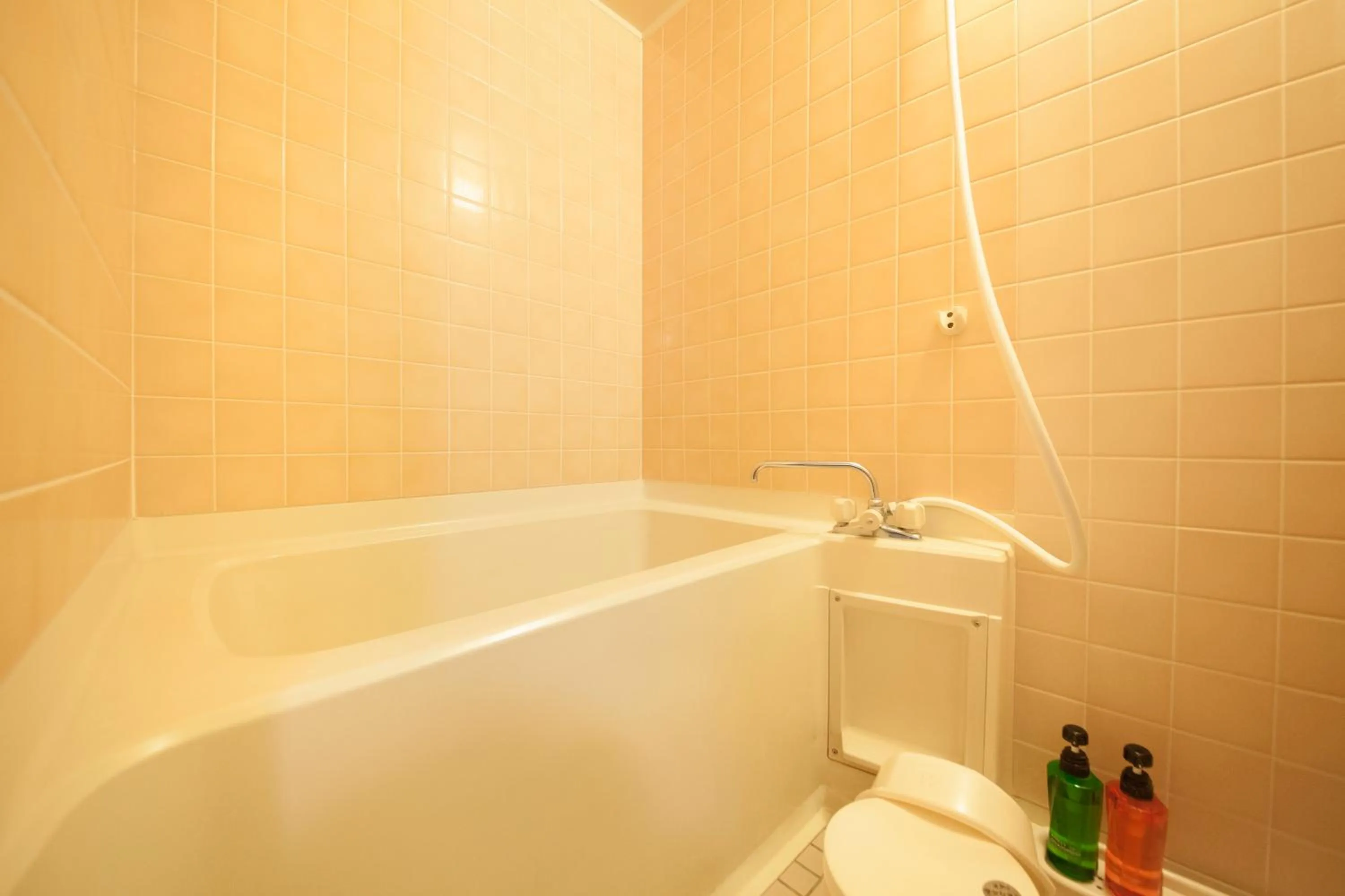 Bathroom in Hotel Okada