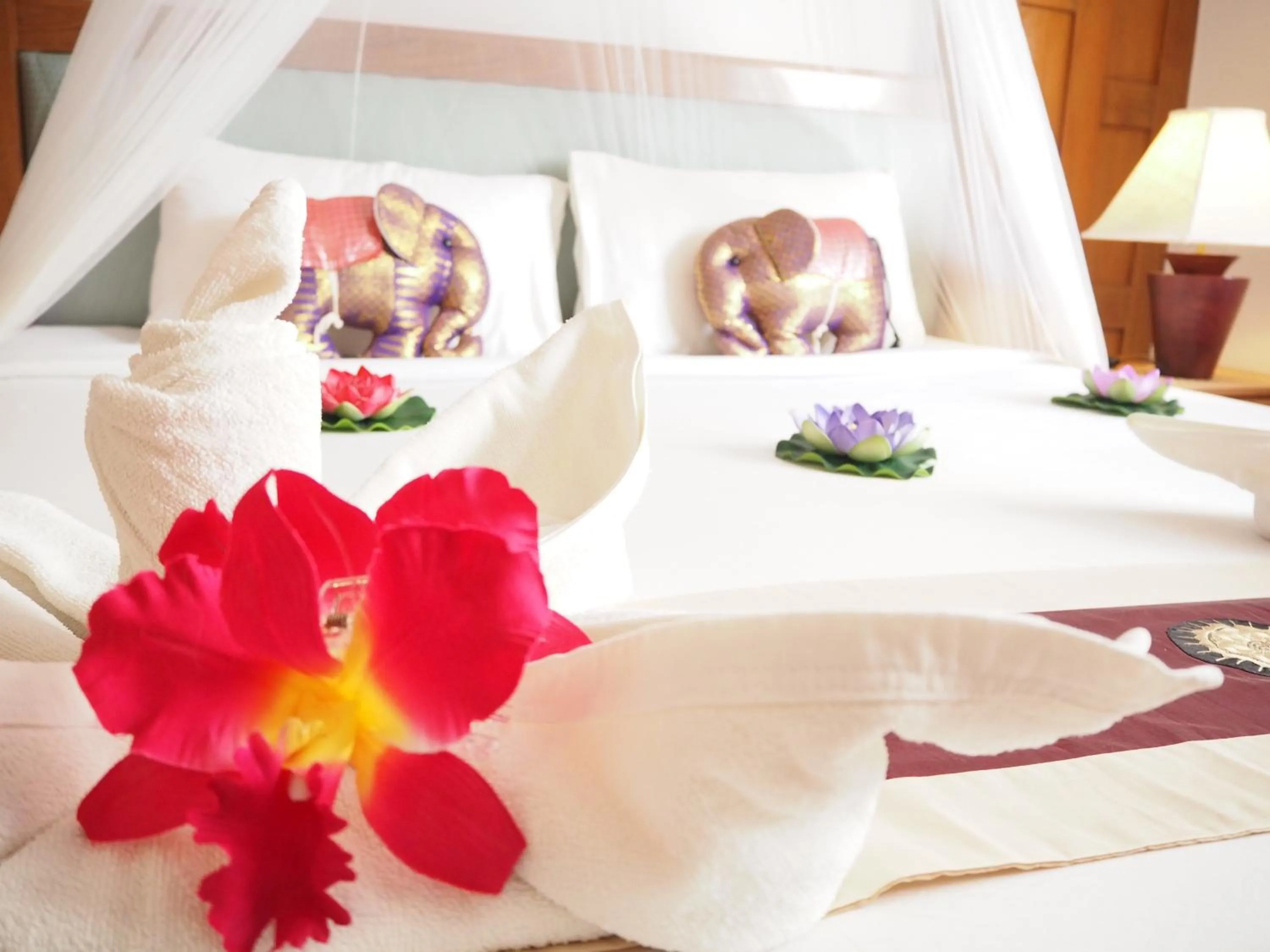 Bed in Your Place Inn