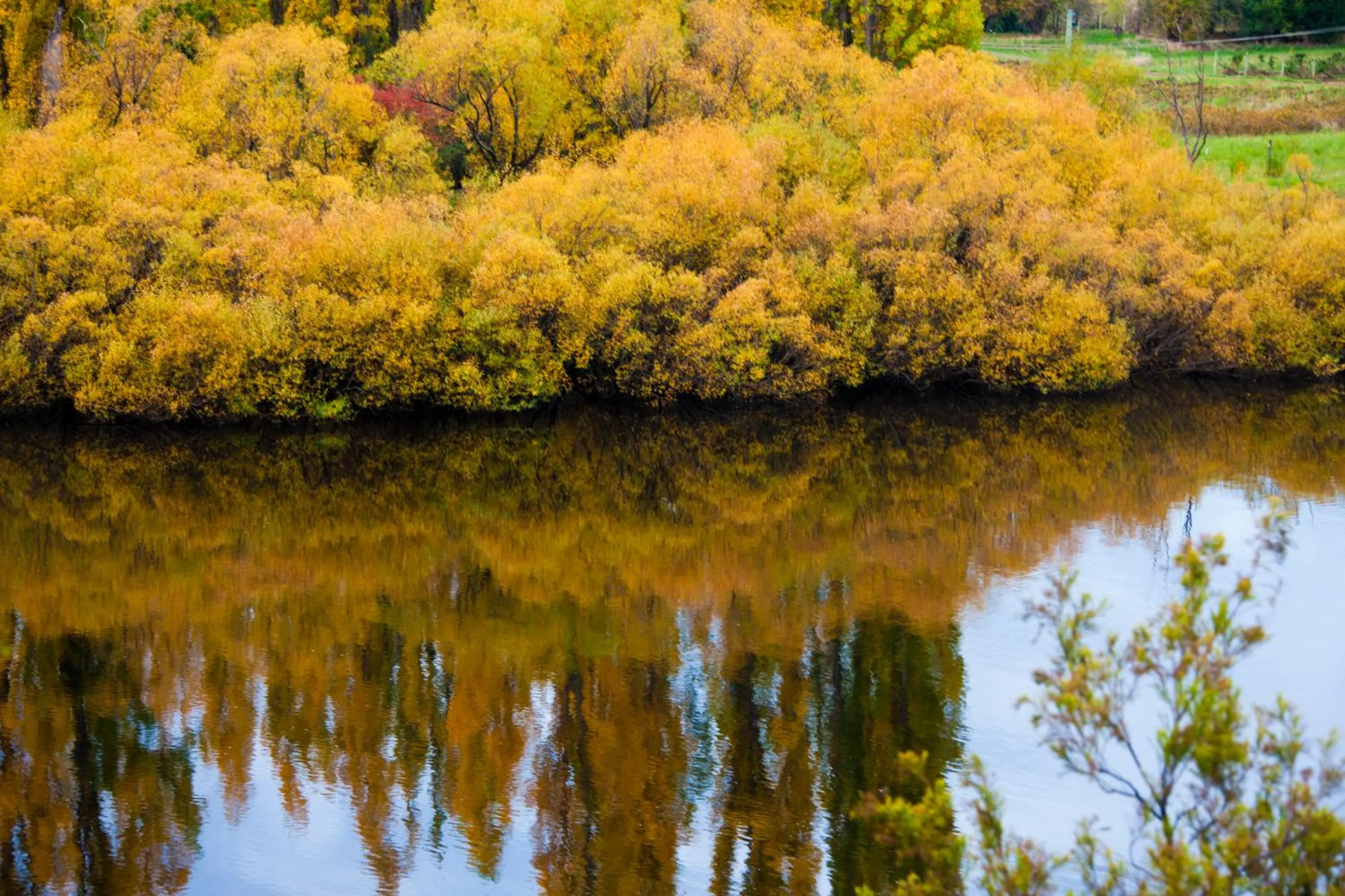 The Shingles Riverside Cottages