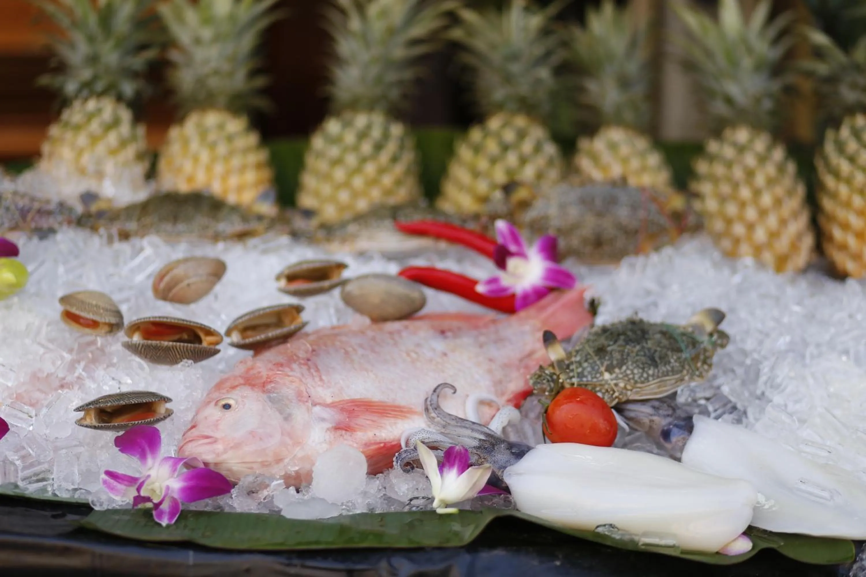 Restaurant/places to eat in Baan Kamala Fantasea Hotel