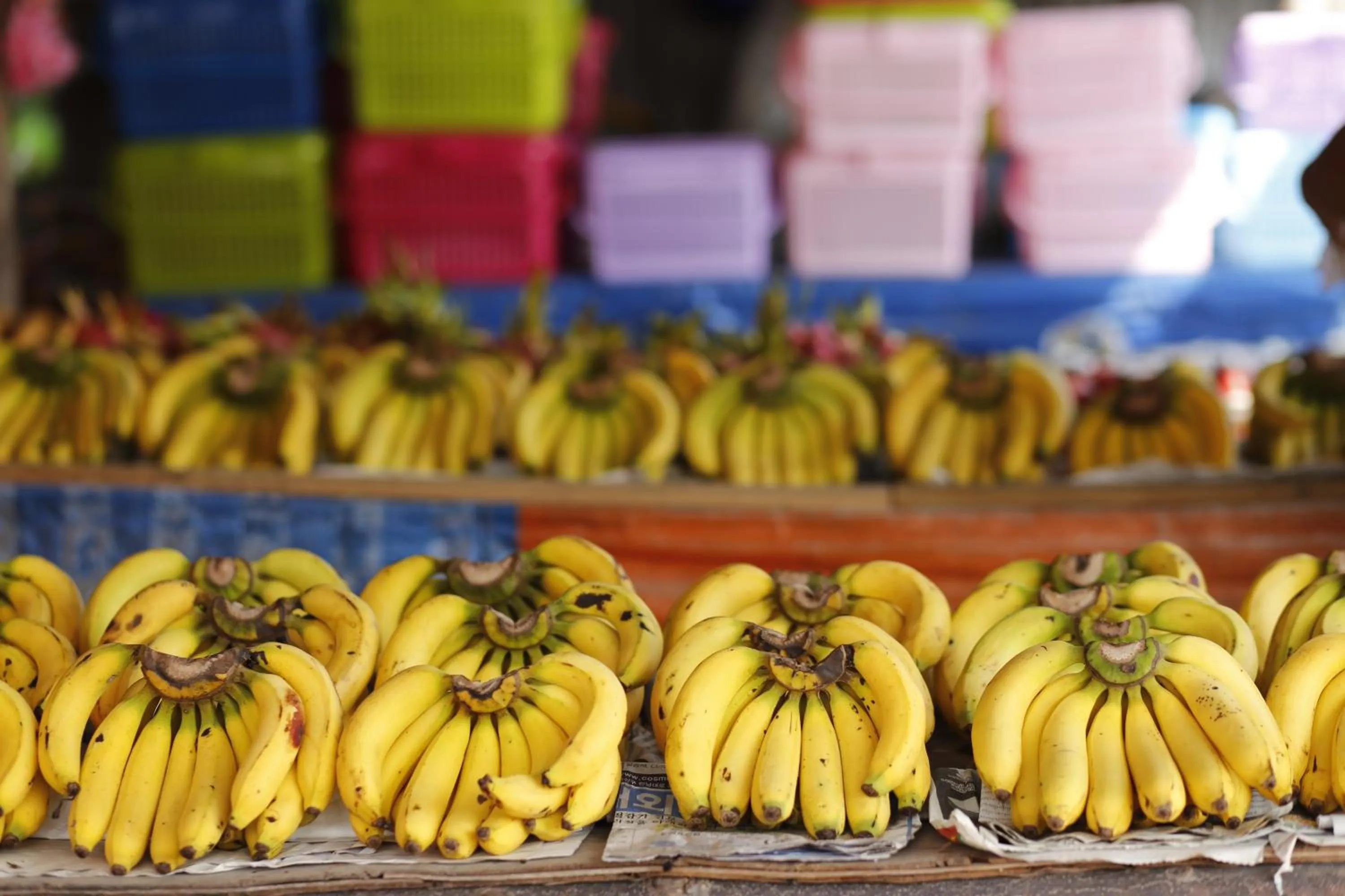 Restaurant/places to eat in Baan Kamala Fantasea Hotel