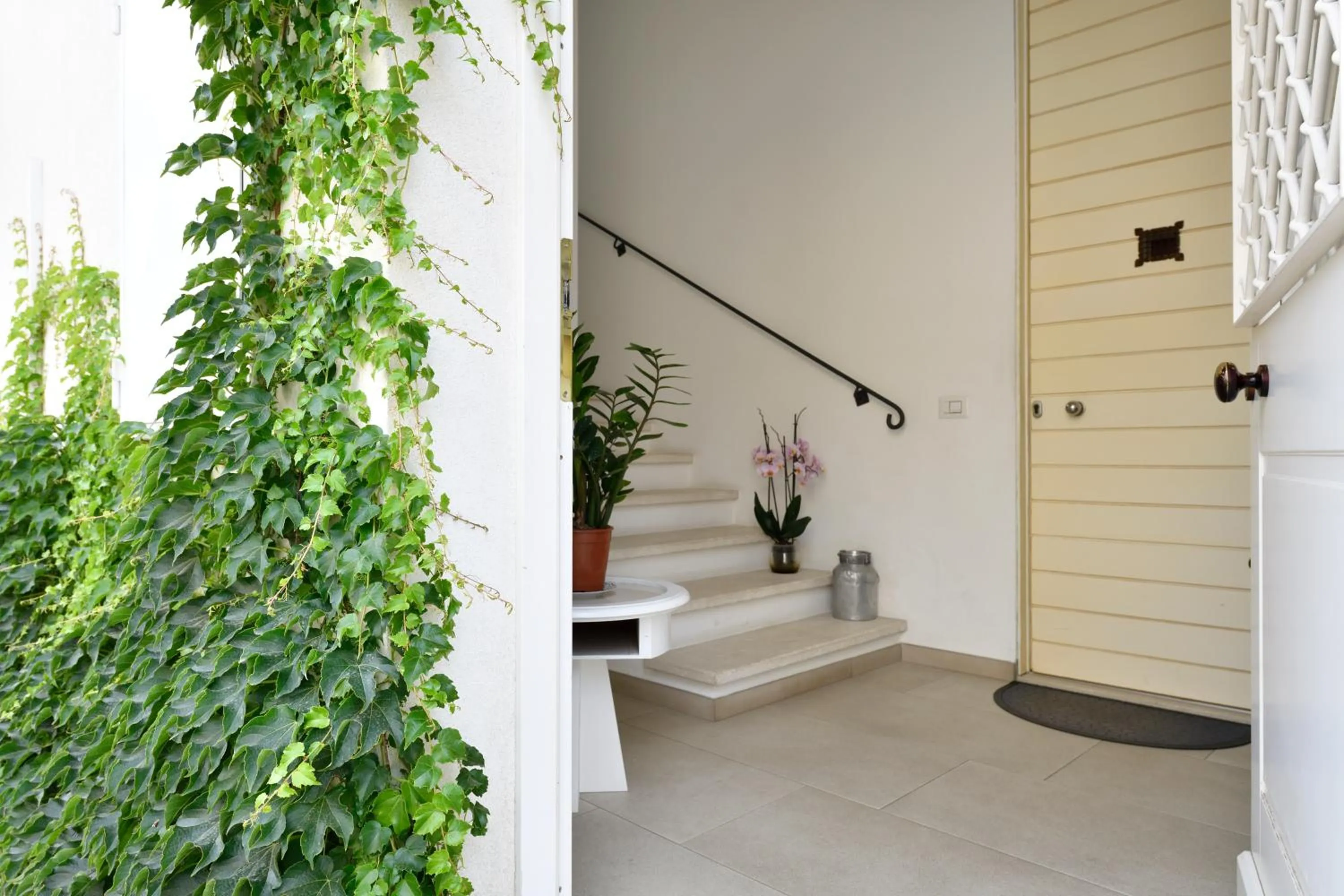 Property building in Lughia