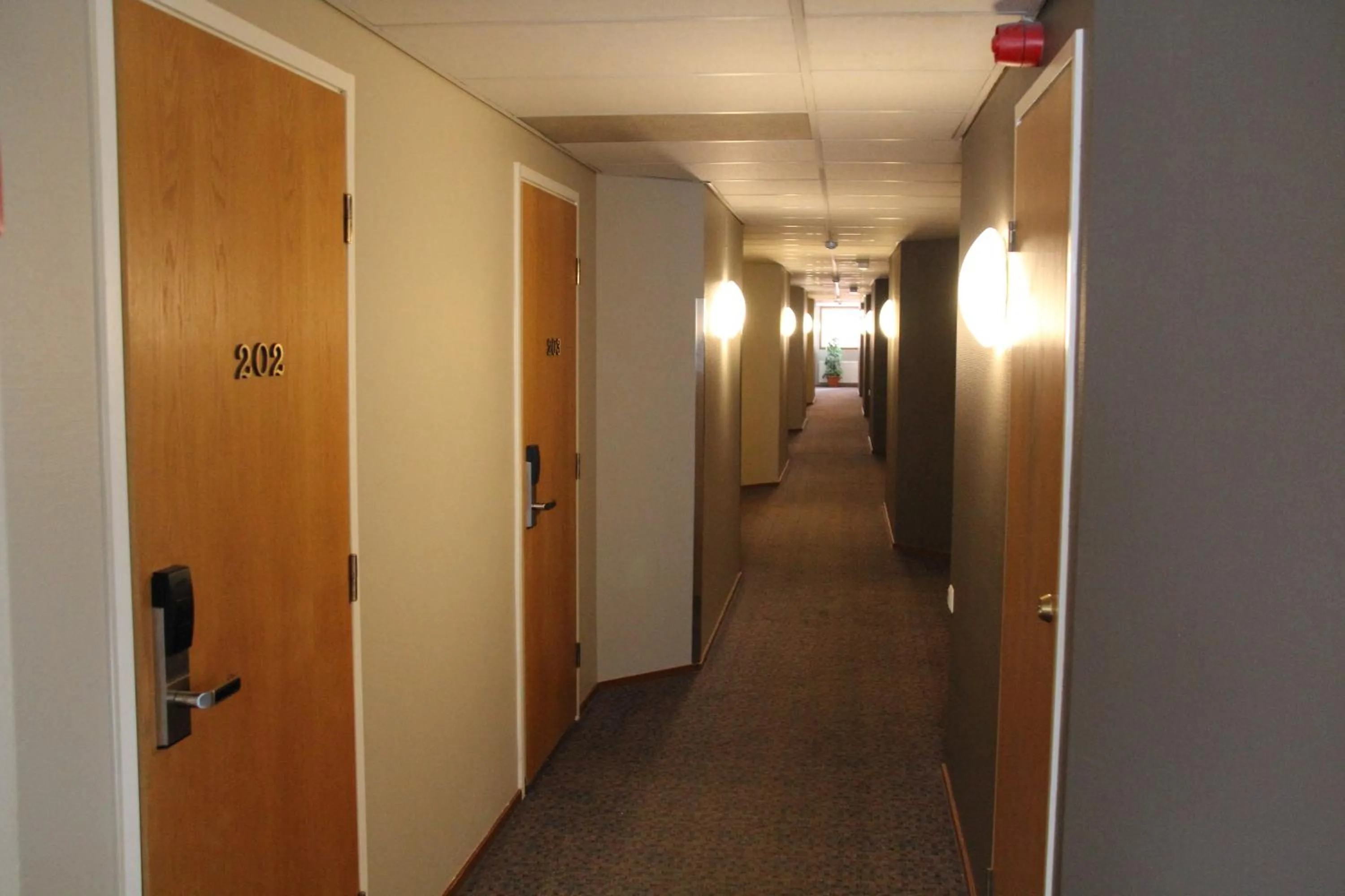 Decorative detail in Hotel Hermica